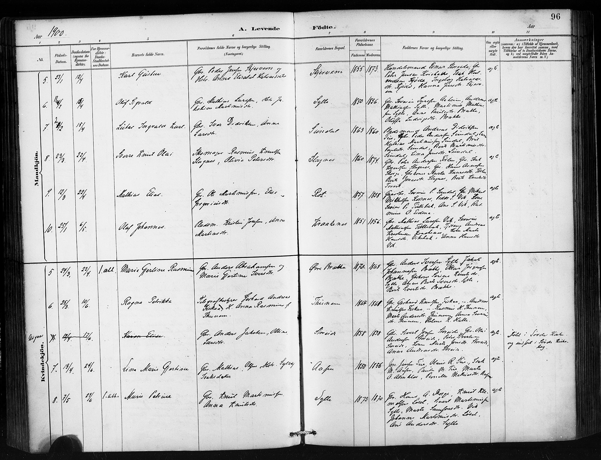 Ministerialprotokoller, klokkerbøker og fødselsregistre - Møre og Romsdal, AV/SAT-A-1454/501/L0008: Parish register (official) no. 501A08, 1885-1901, p. 96