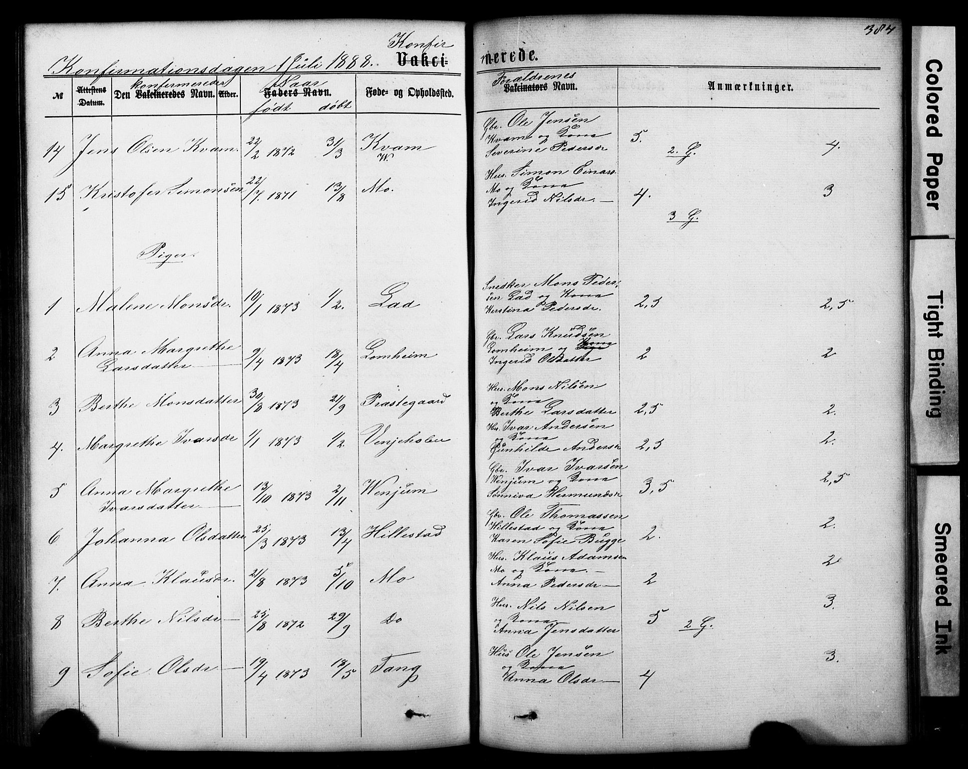 Hafslo sokneprestembete, AV/SAB-A-80301/H/Hab/Haba/L0001: Parish register (copy) no. A 1, 1866-1908, p. 384