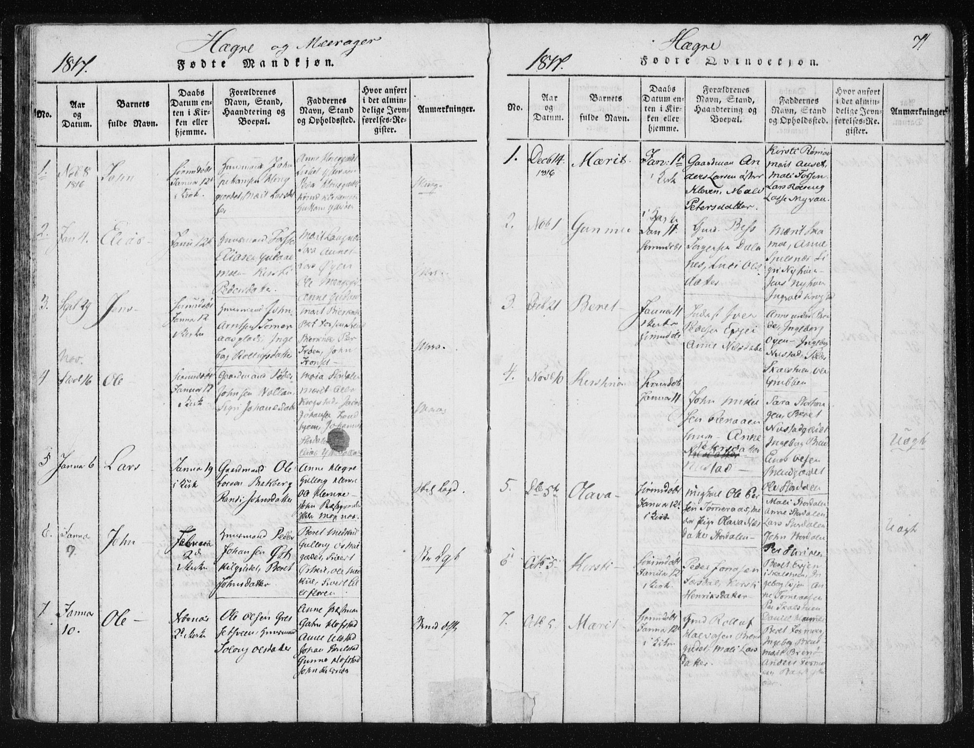 Ministerialprotokoller, klokkerbøker og fødselsregistre - Nord-Trøndelag, AV/SAT-A-1458/709/L0061: Parish register (official) no. 709A08 /4, 1815-1819, p. 71