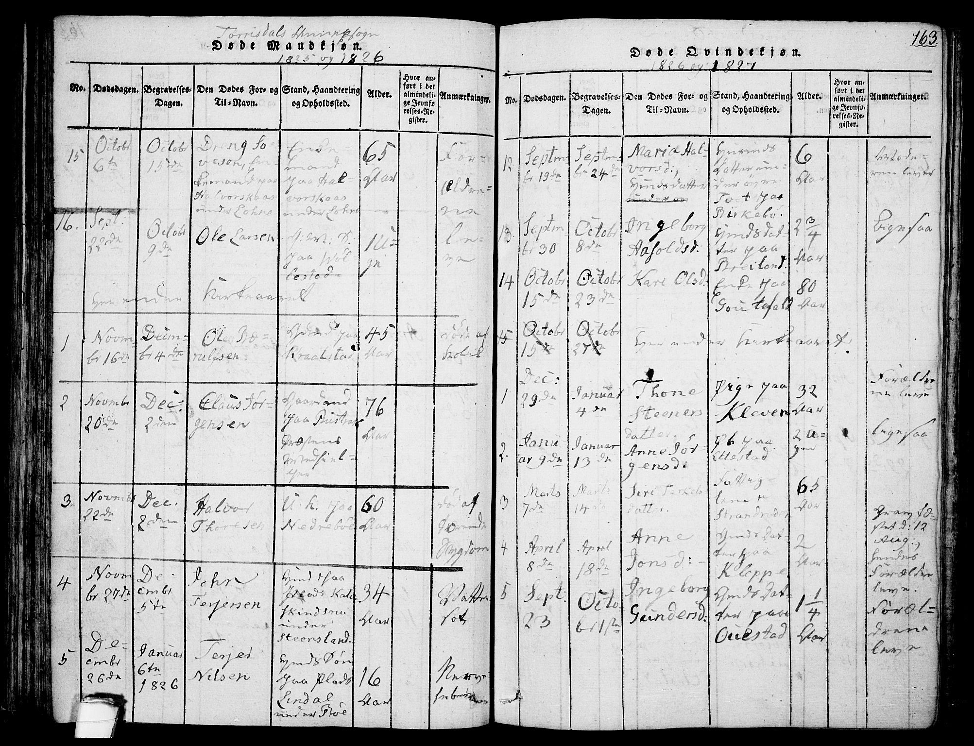 Drangedal kirkebøker, SAKO/A-258/F/Fa/L0005: Parish register (official) no. 5 /2, 1814-1831, p. 163