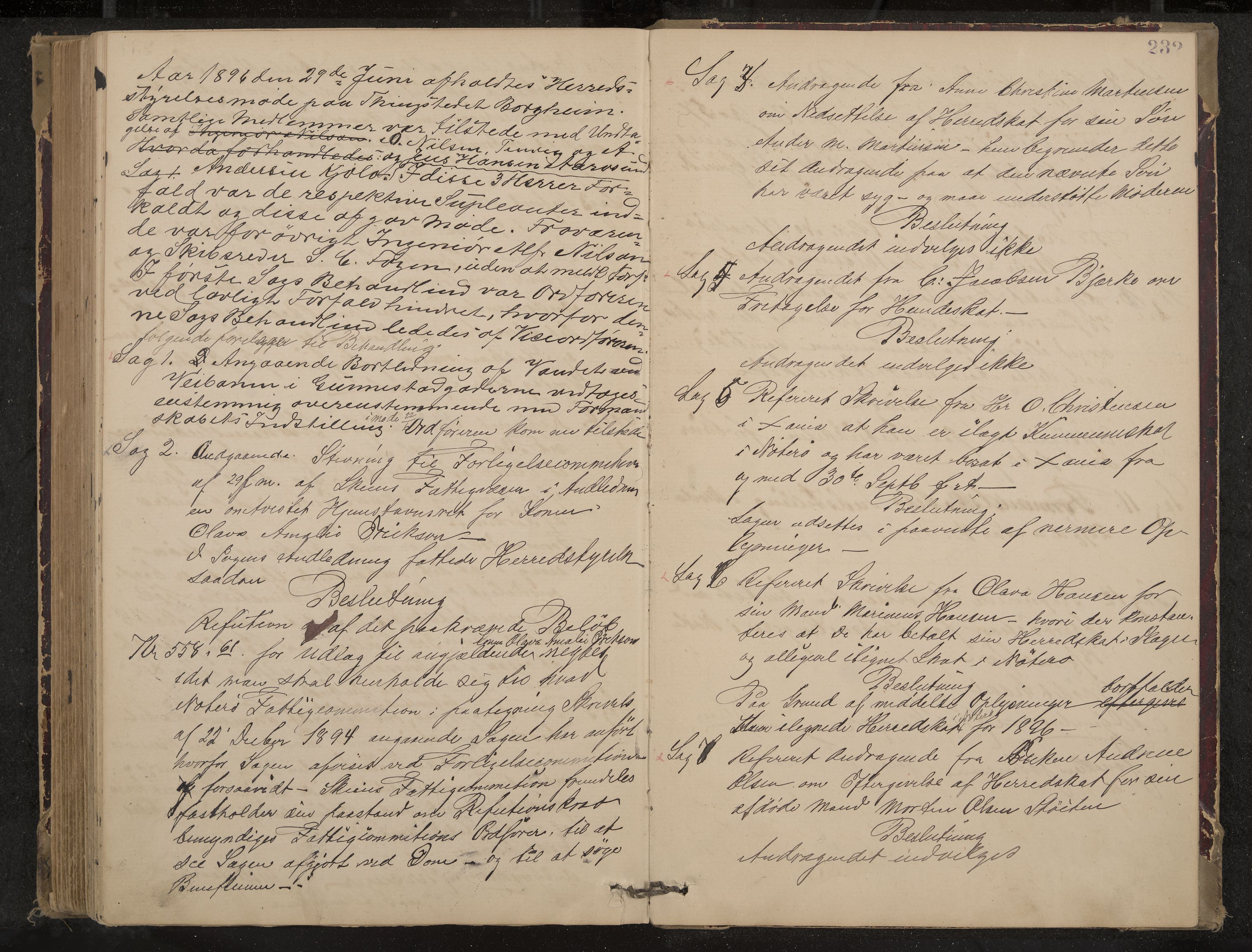 Nøtterøy formannskap og sentraladministrasjon, IKAK/0722021-1/A/Aa/L0004: Møtebok, 1887-1896, p. 232