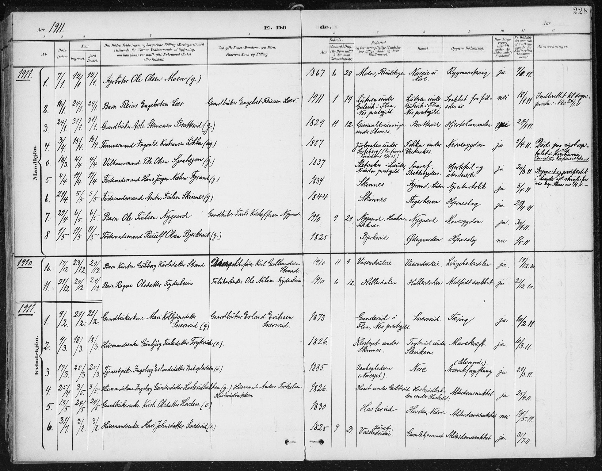 Krødsherad kirkebøker, SAKO/A-19/F/Fa/L0007: Parish register (official) no. 7, 1900-1915, p. 228