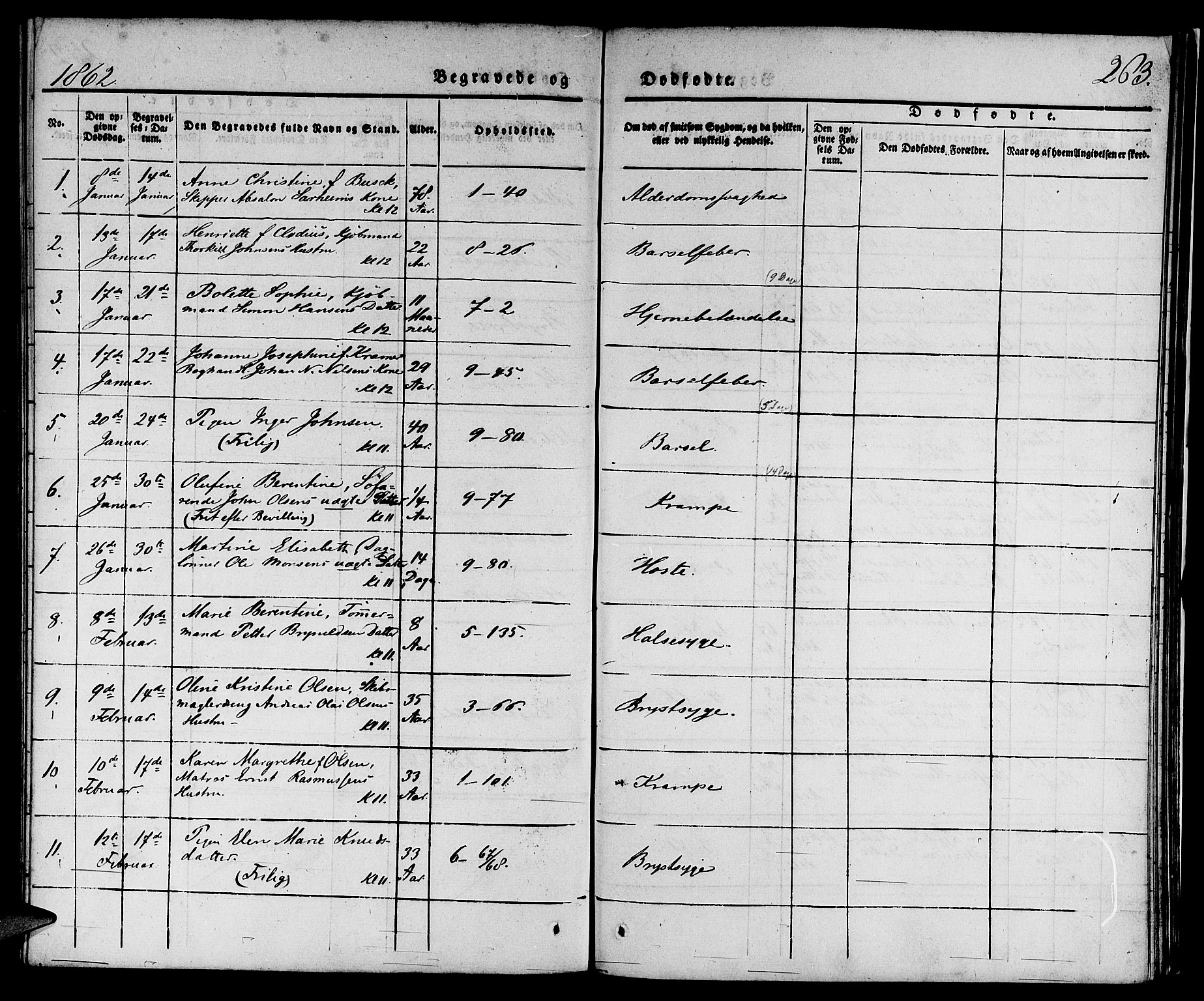 Nykirken Sokneprestembete, SAB/A-77101/H/Hab: Parish register (copy) no. E 1, 1840-1866, p. 263