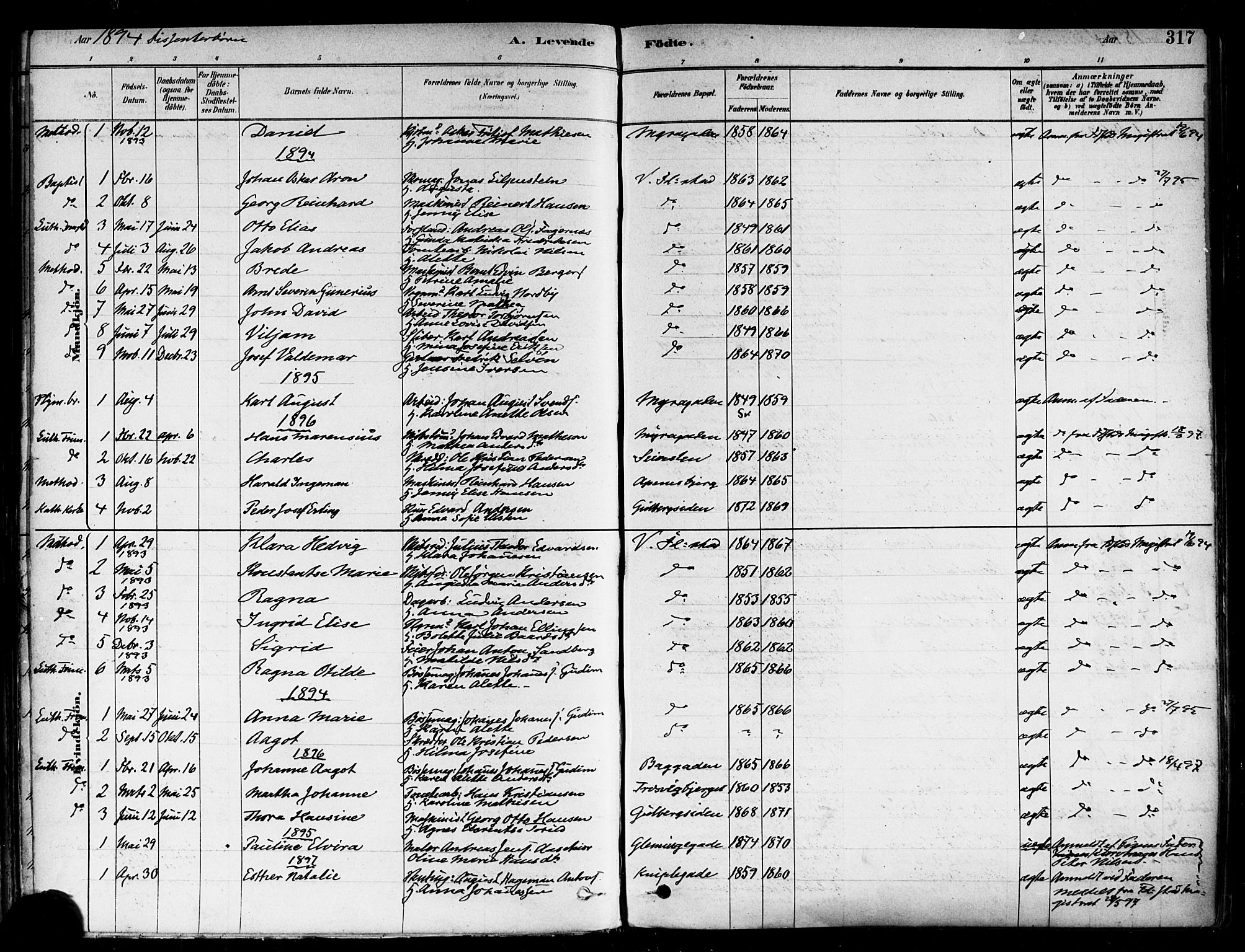 Fredrikstad domkirkes prestekontor Kirkebøker, AV/SAO-A-10906/F/Fa/L0002: Parish register (official) no. 2, 1878-1894, p. 317