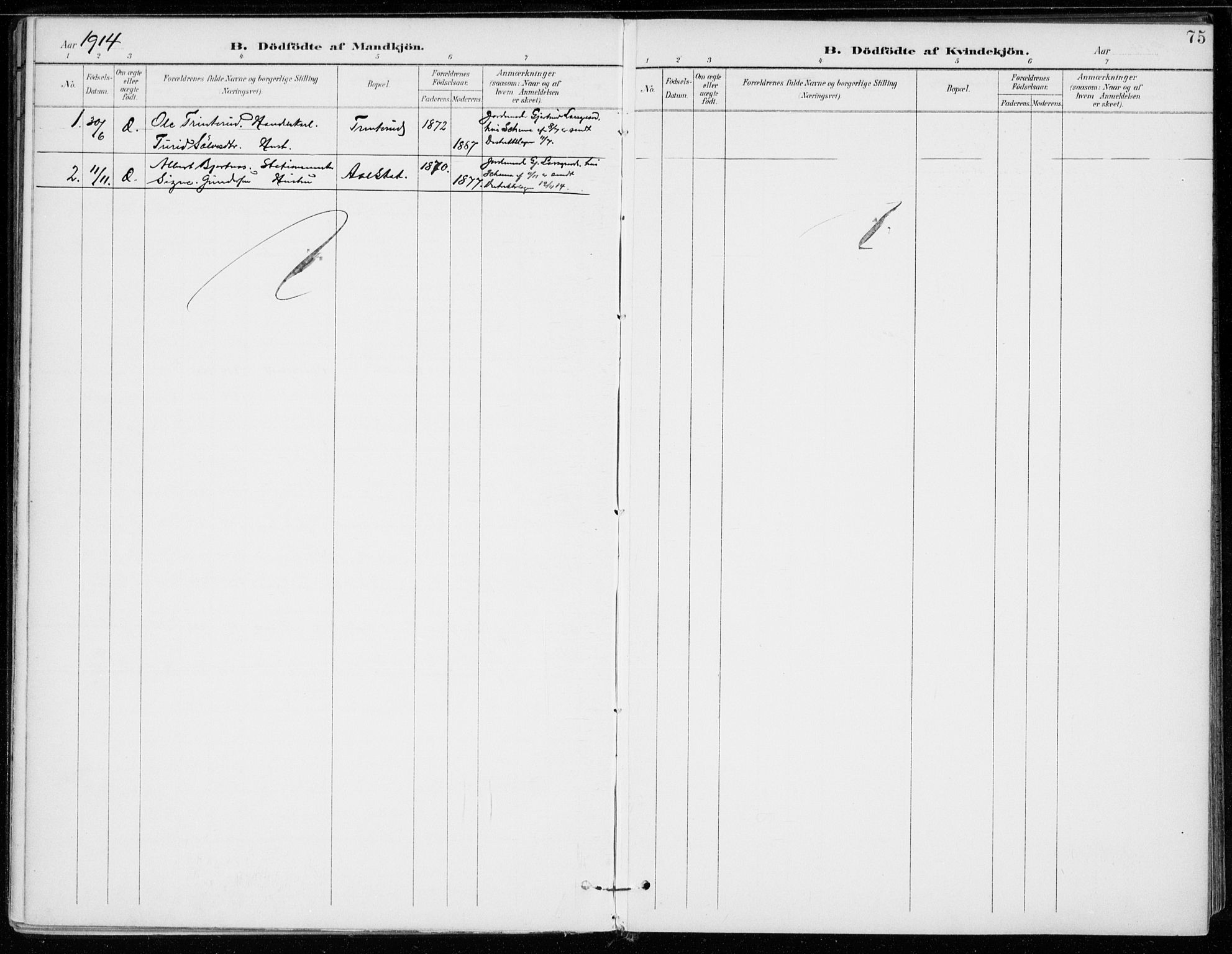 Ål kirkebøker, AV/SAKO-A-249/F/Fa/L0009: Parish register (official) no. I 9, 1897-1915, p. 75