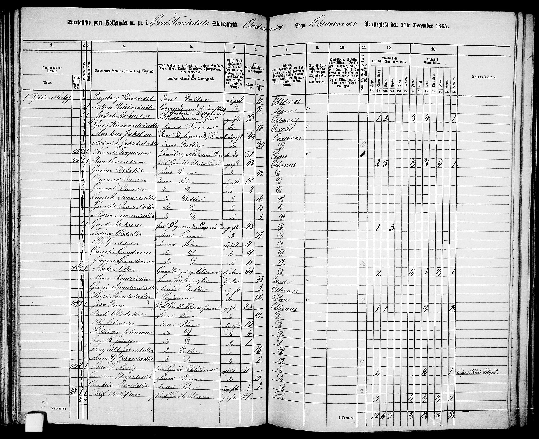 RA, 1865 census for Oddernes, 1865, p. 72