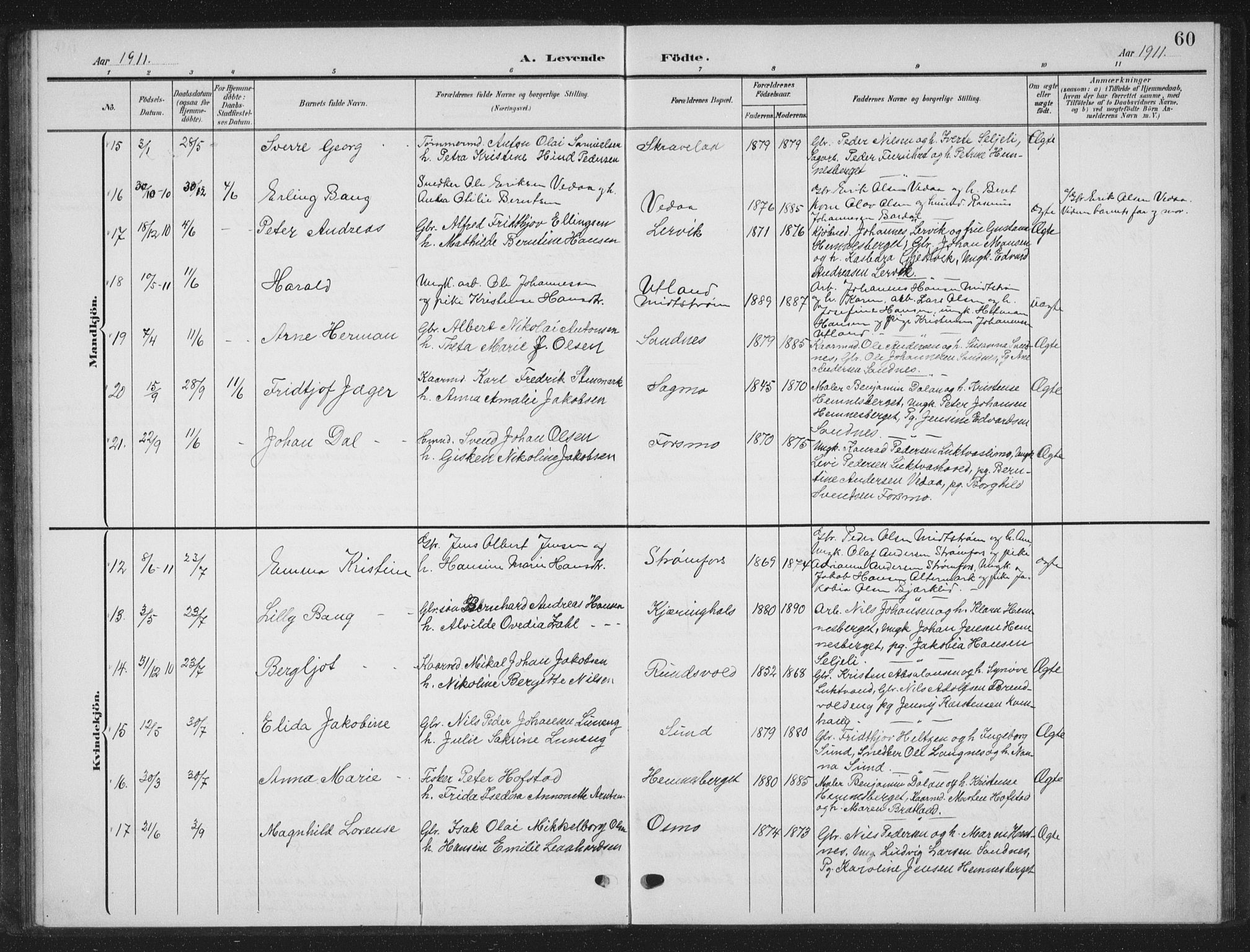 Ministerialprotokoller, klokkerbøker og fødselsregistre - Nordland, AV/SAT-A-1459/825/L0370: Parish register (copy) no. 825C07, 1903-1923, p. 60