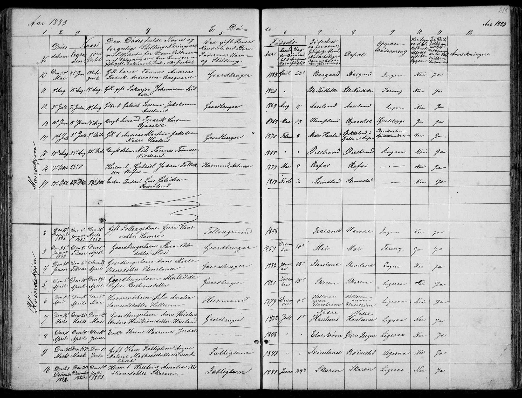 Kvinesdal sokneprestkontor, AV/SAK-1111-0026/F/Fb/Fbb/L0002: Parish register (copy) no. B 2, 1873-1897, p. 218