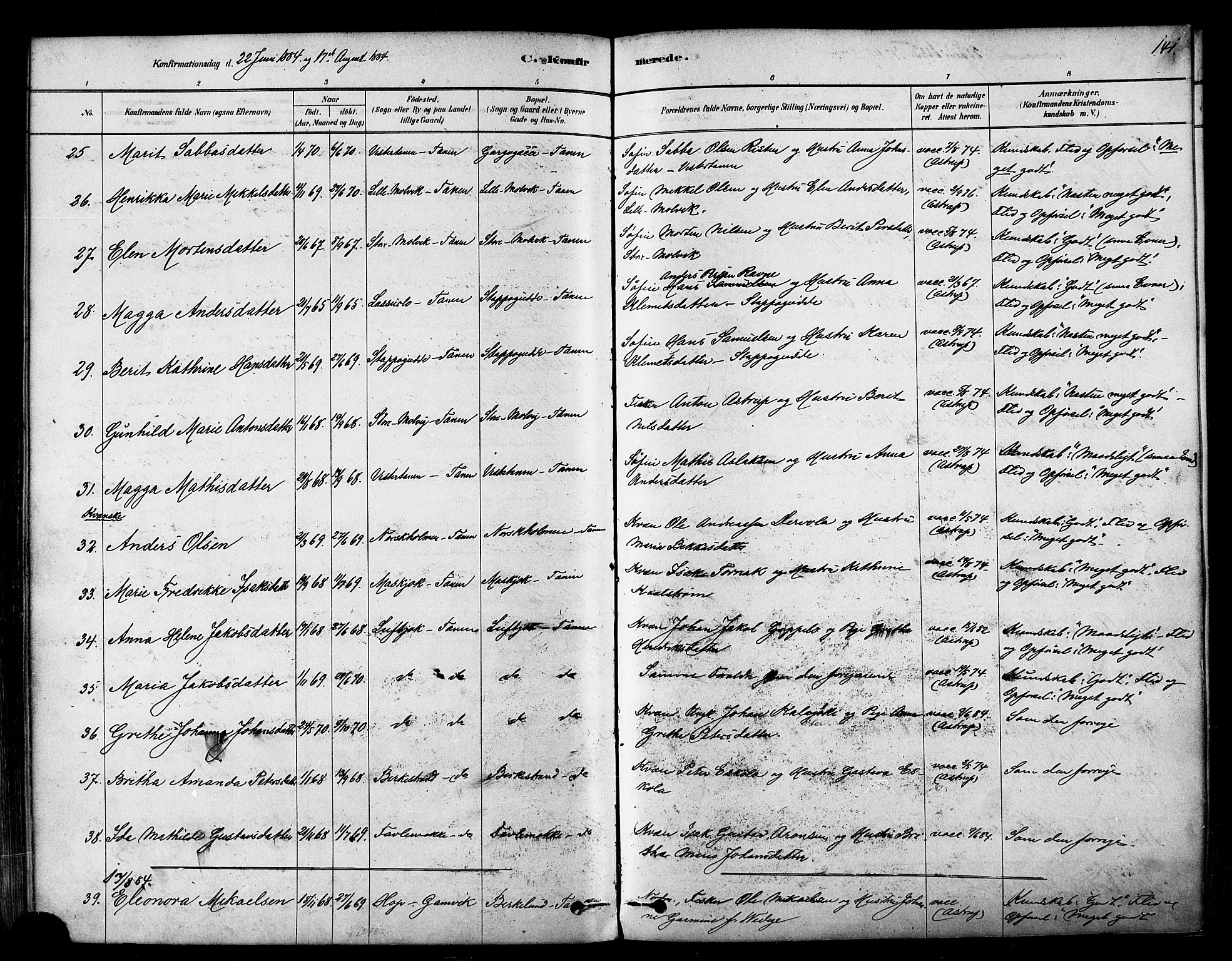 Tana sokneprestkontor, SATØ/S-1334/H/Ha/L0004kirke: Parish register (official) no. 4, 1878-1891, p. 141