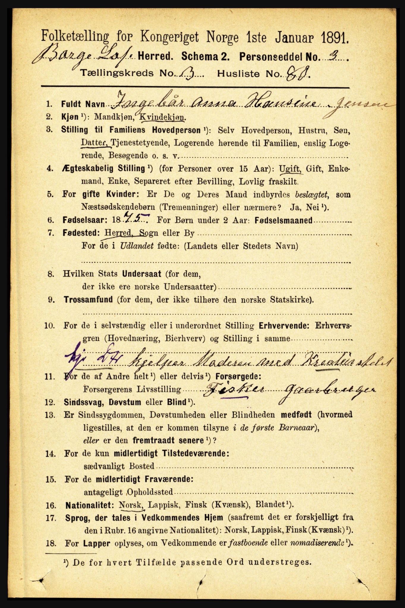 RA, 1891 census for 1862 Borge, 1891, p. 2013