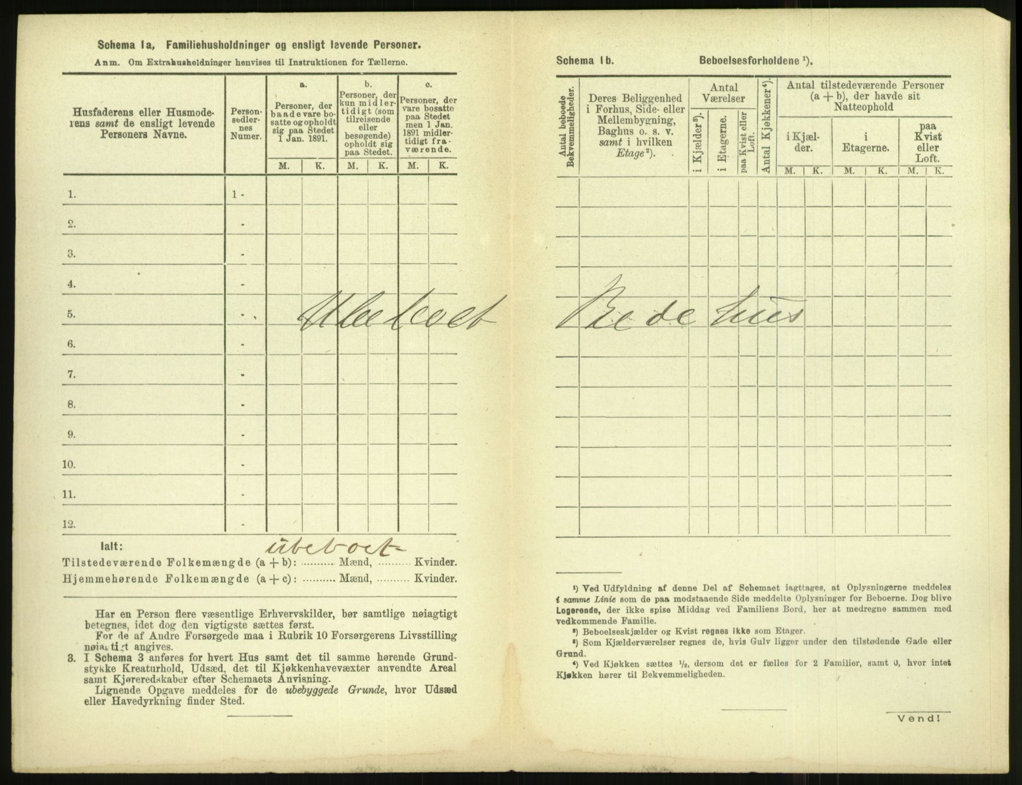 RA, 1891 census for 1003 Farsund, 1891, p. 411