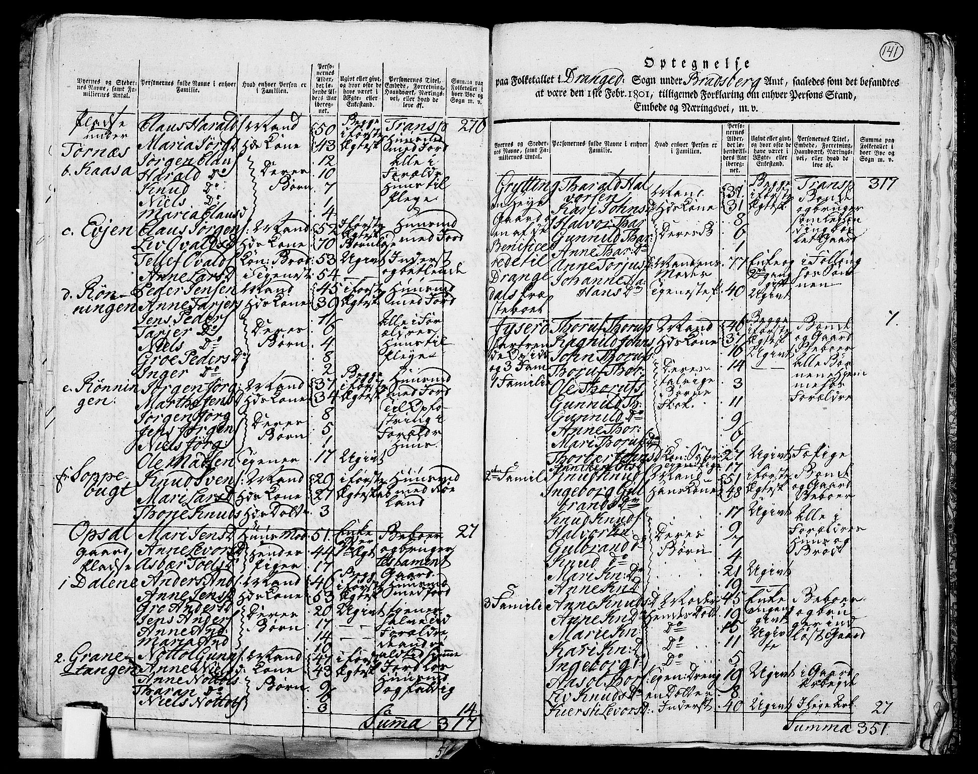 RA, 1801 census for 0817P Drangedal, 1801, p. 140b-141a