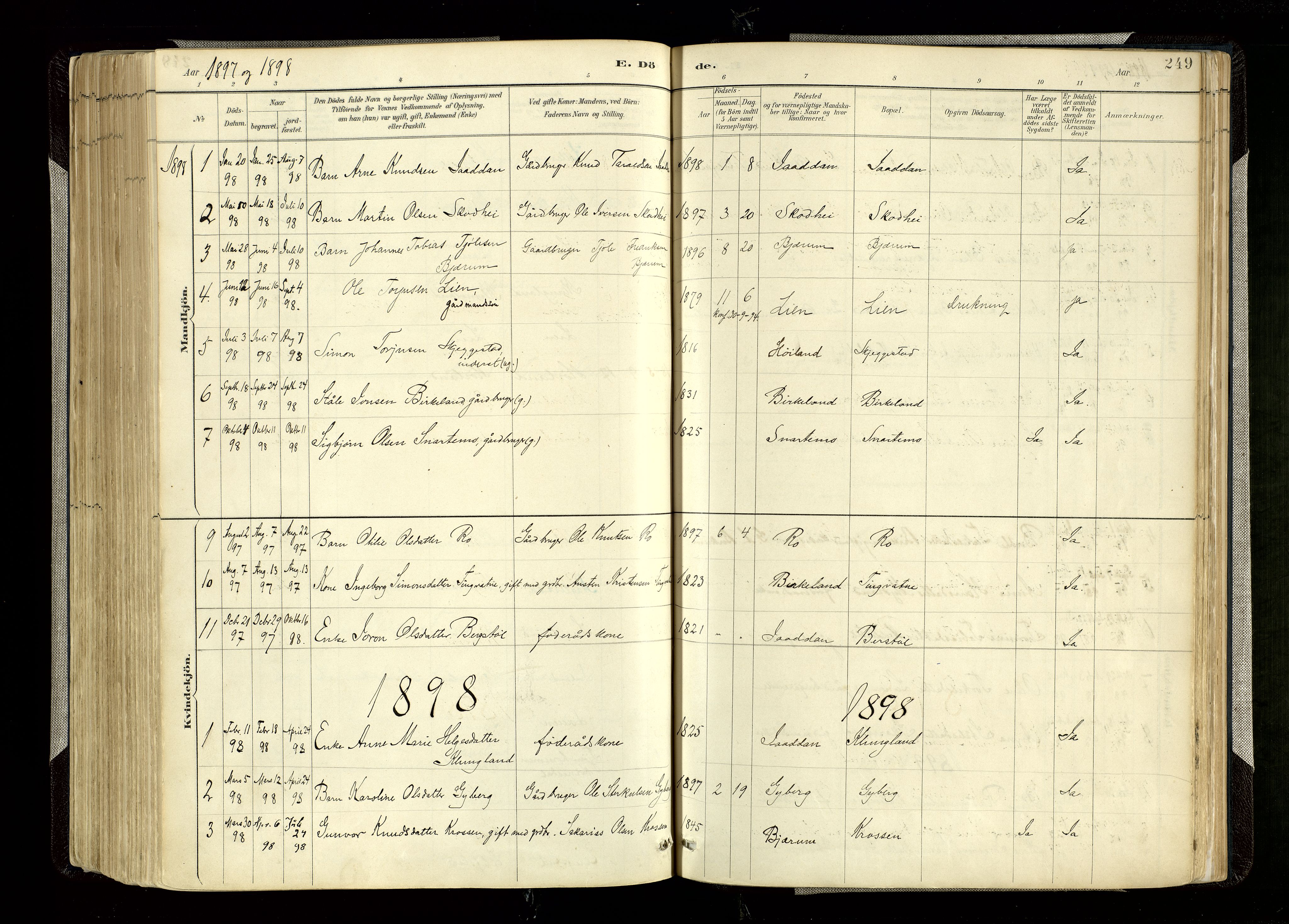 Hægebostad sokneprestkontor, AV/SAK-1111-0024/F/Fa/Faa/L0006: Parish register (official) no. A 6, 1887-1929, p. 249