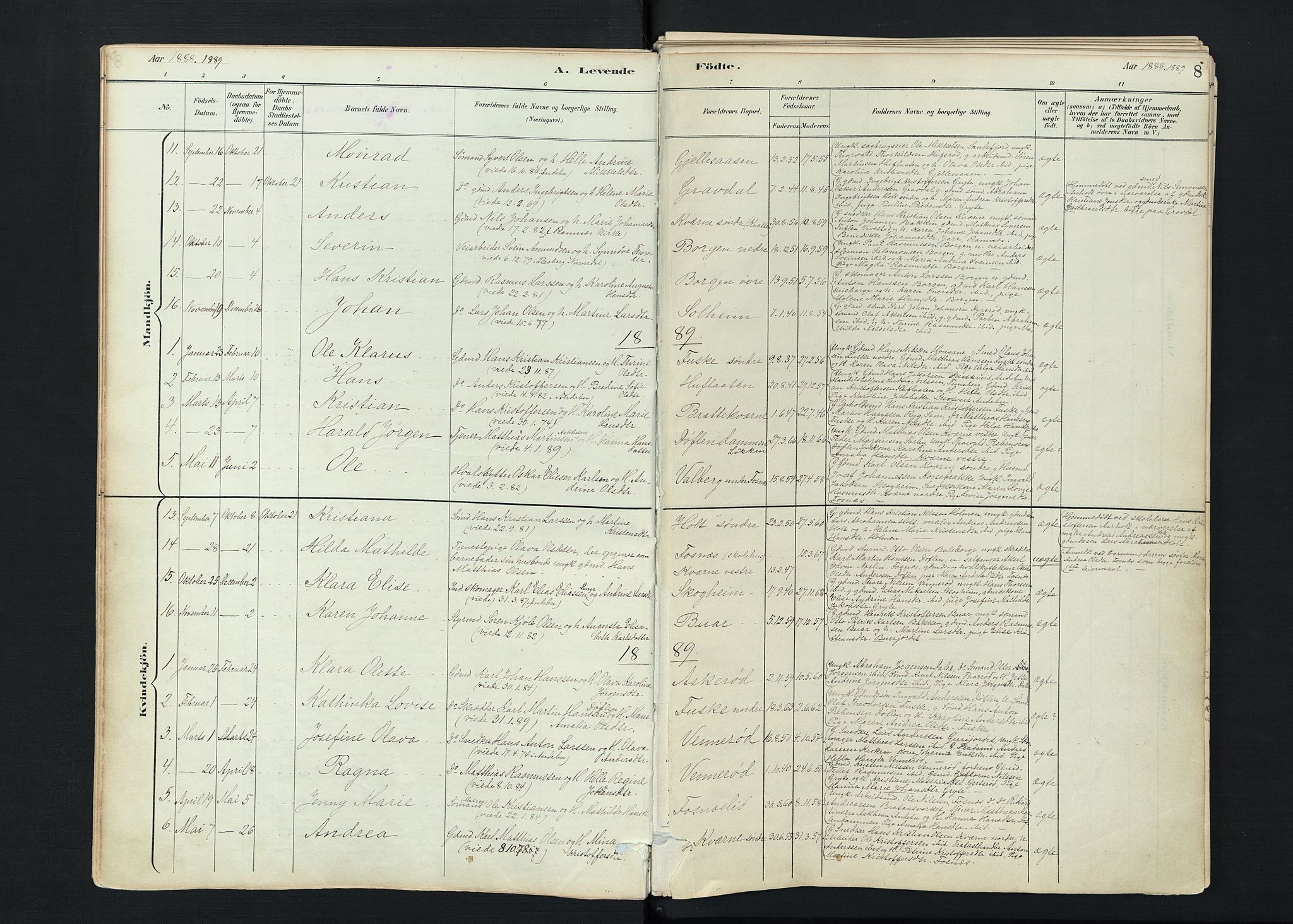 Stokke kirkebøker, SAKO/A-320/F/Fc/L0001: Parish register (official) no. III 1, 1884-1910, p. 8
