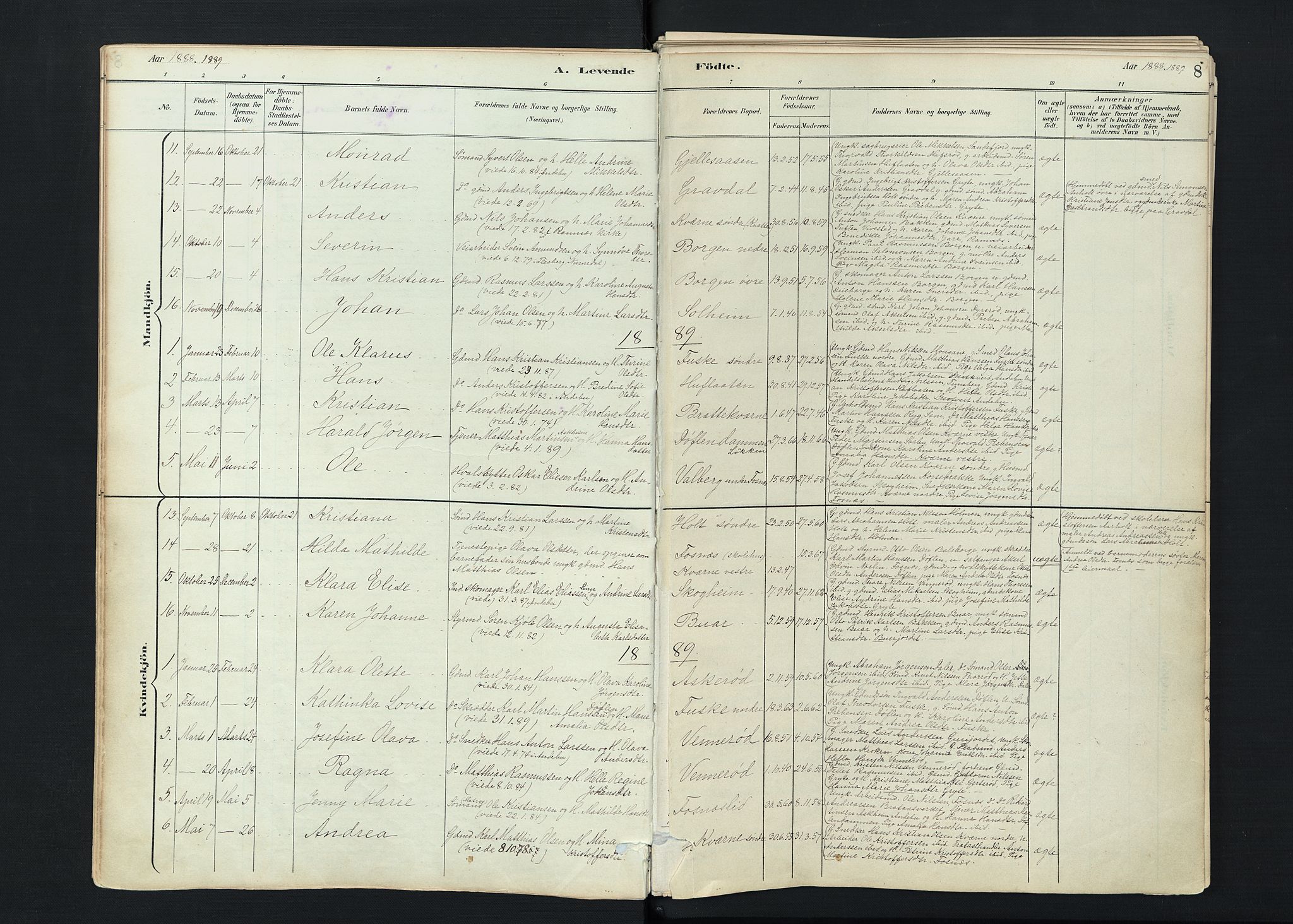 Stokke kirkebøker, AV/SAKO-A-320/F/Fc/L0001: Parish register (official) no. III 1, 1884-1910, p. 8