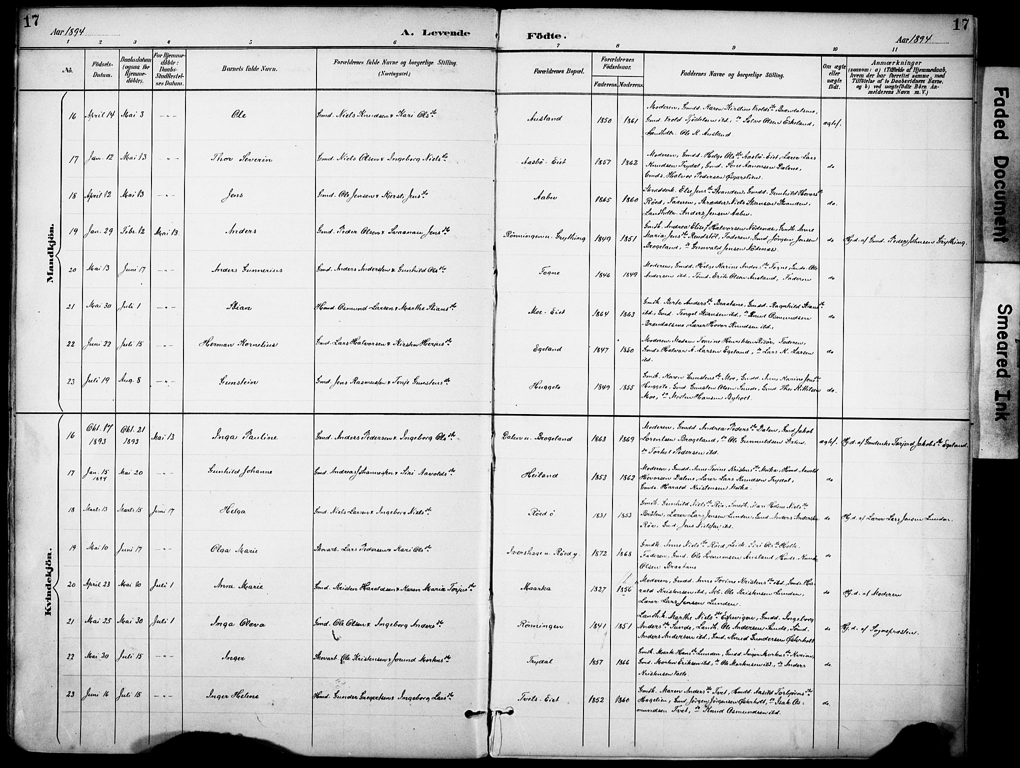 Gjerstad sokneprestkontor, AV/SAK-1111-0014/F/Fa/Faa/L0010: Parish register (official) no. A 10, 1891-1902, p. 17