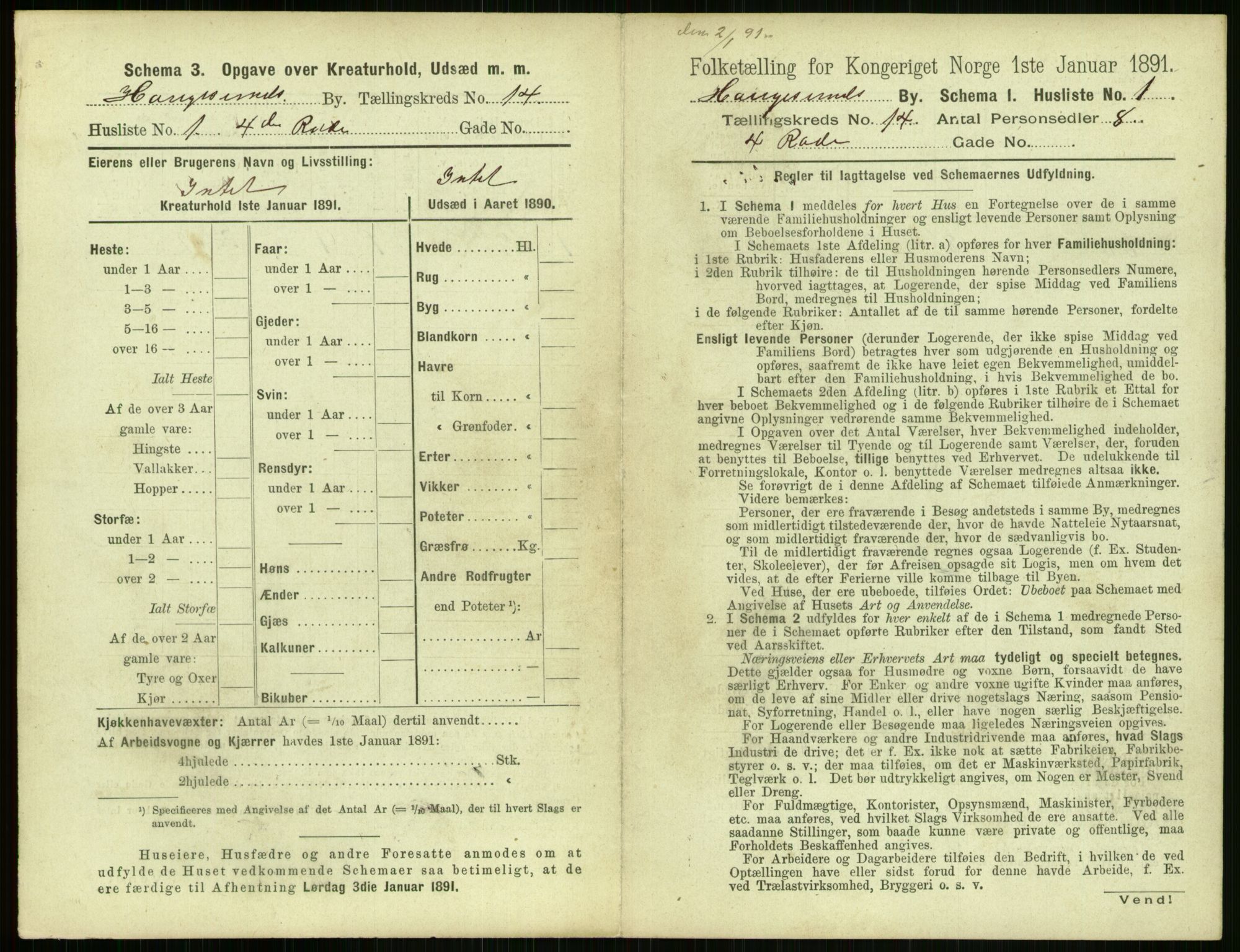 RA, 1891 census for 1106 Haugesund, 1891, p. 908