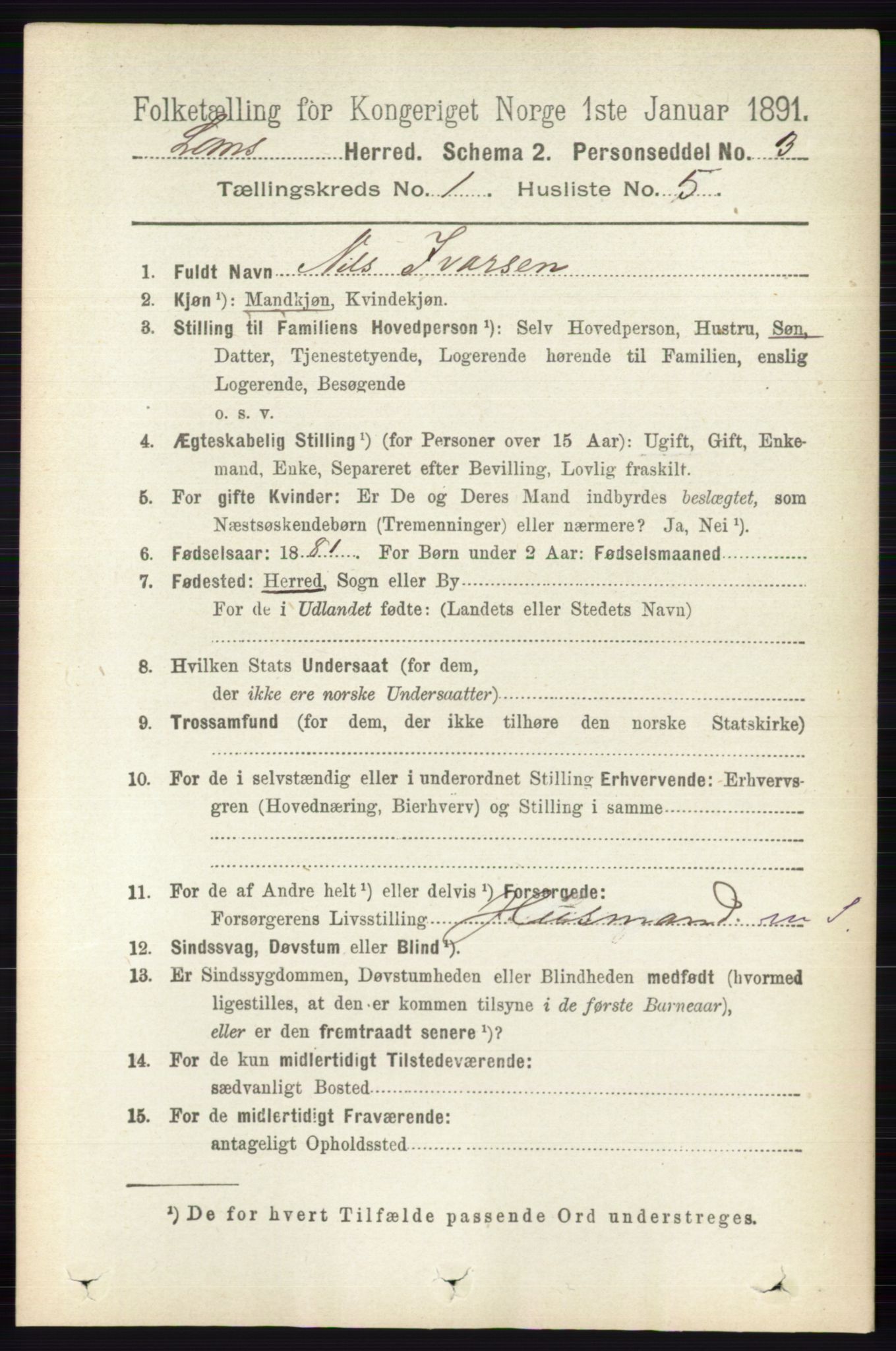 RA, 1891 census for 0514 Lom, 1891, p. 141