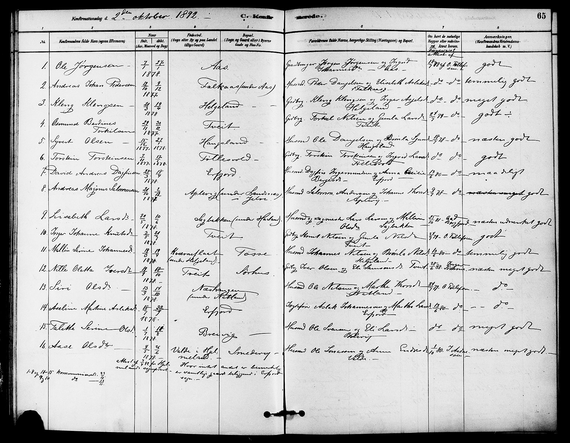 Jelsa sokneprestkontor, AV/SAST-A-101842/01/IV: Parish register (official) no. A 9, 1878-1898, p. 65