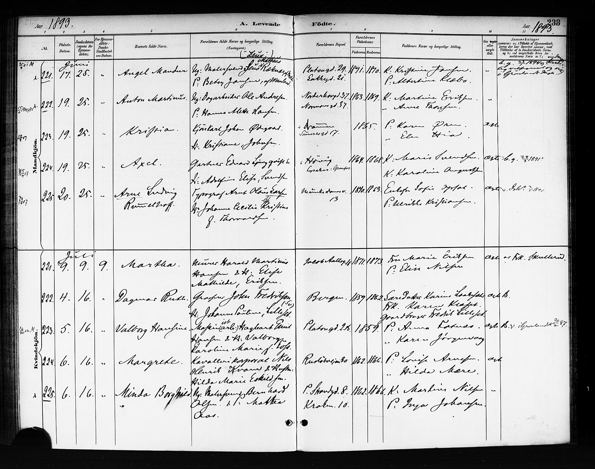 Rikshospitalet prestekontor Kirkebøker, SAO/A-10309b/F/L0008: Parish register (official) no. 8, 1890-1893, p. 233