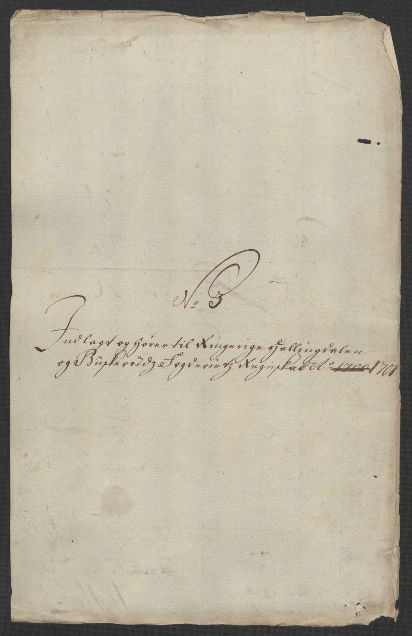 Rentekammeret inntil 1814, Reviderte regnskaper, Fogderegnskap, RA/EA-4092/R22/L1458: Fogderegnskap Ringerike, Hallingdal og Buskerud, 1701, p. 256