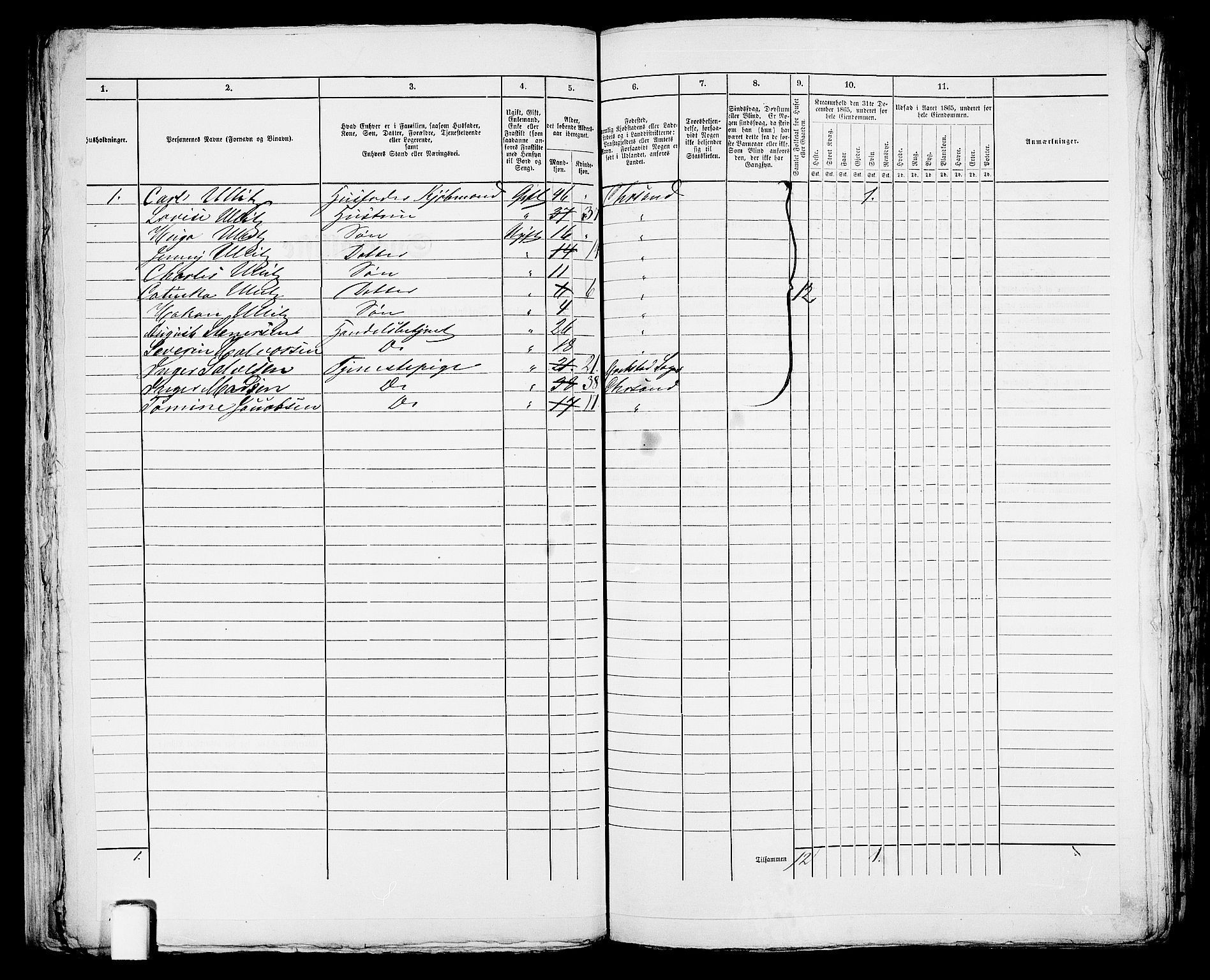 RA, 1865 census for Kristiansand, 1865, p. 1641