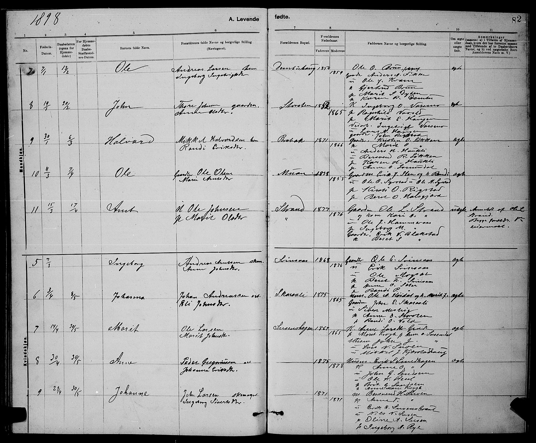 Ministerialprotokoller, klokkerbøker og fødselsregistre - Sør-Trøndelag, SAT/A-1456/672/L0863: Parish register (copy) no. 672C02, 1888-1901, p. 82