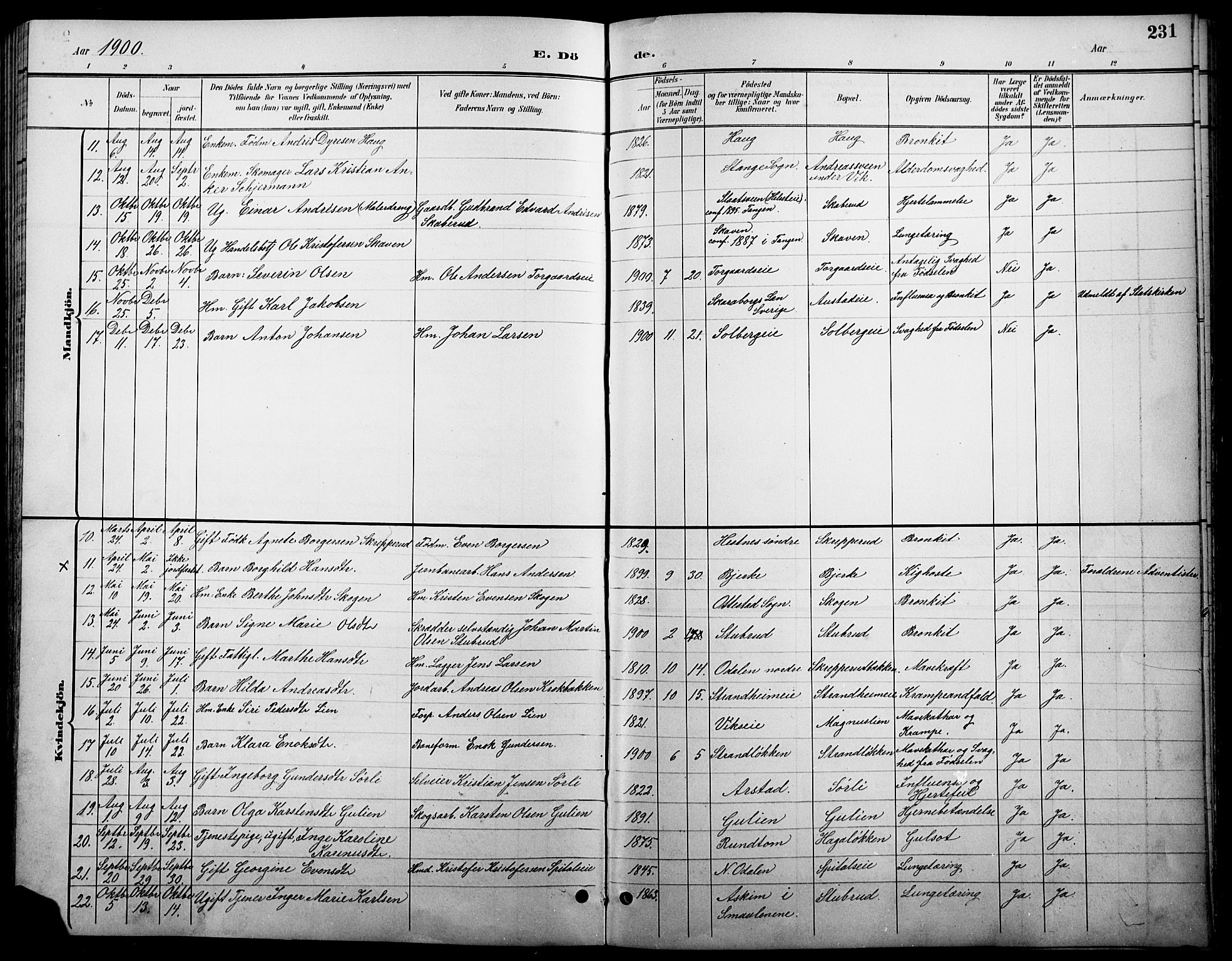Stange prestekontor, SAH/PREST-002/L/L0011: Parish register (copy) no. 11, 1895-1917, p. 231
