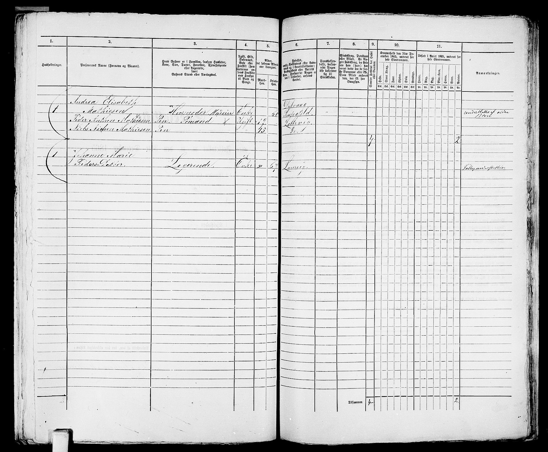 RA, 1865 census for Larvik, 1865, p. 1199