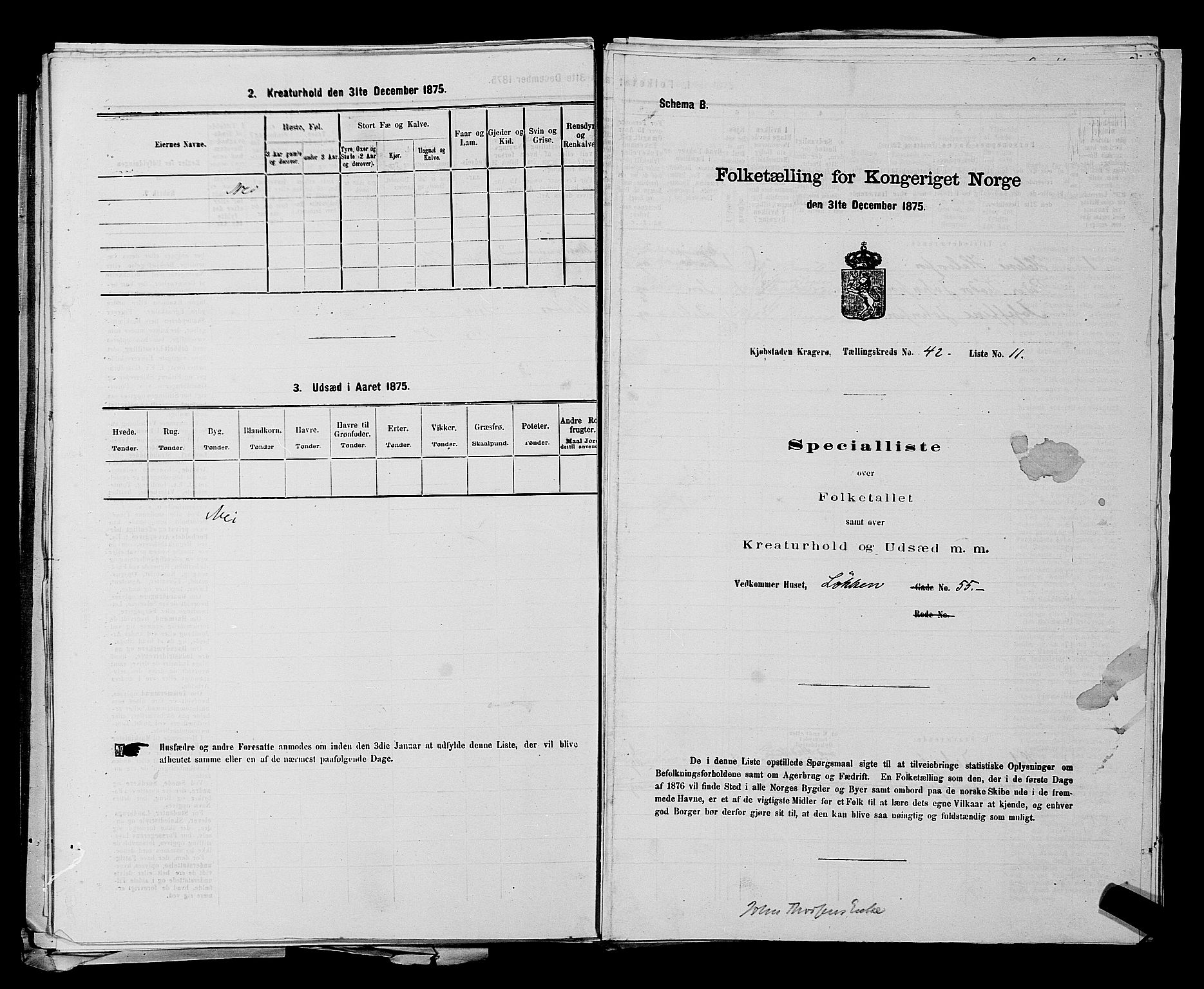 SAKO, 1875 census for 0801P Kragerø, 1875, p. 939