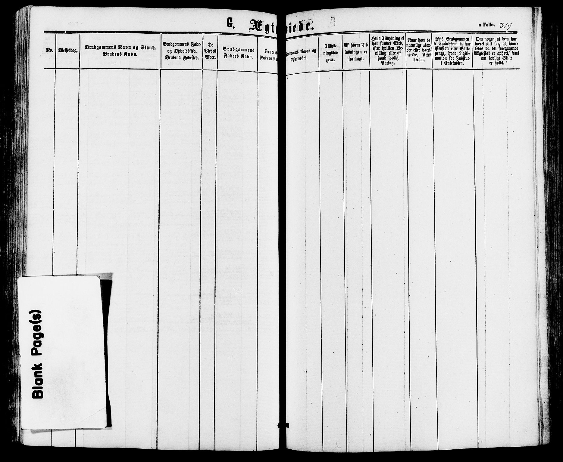 Alvdal prestekontor, AV/SAH-PREST-060/H/Ha/Haa/L0001: Parish register (official) no. 1, 1863-1882, p. 319