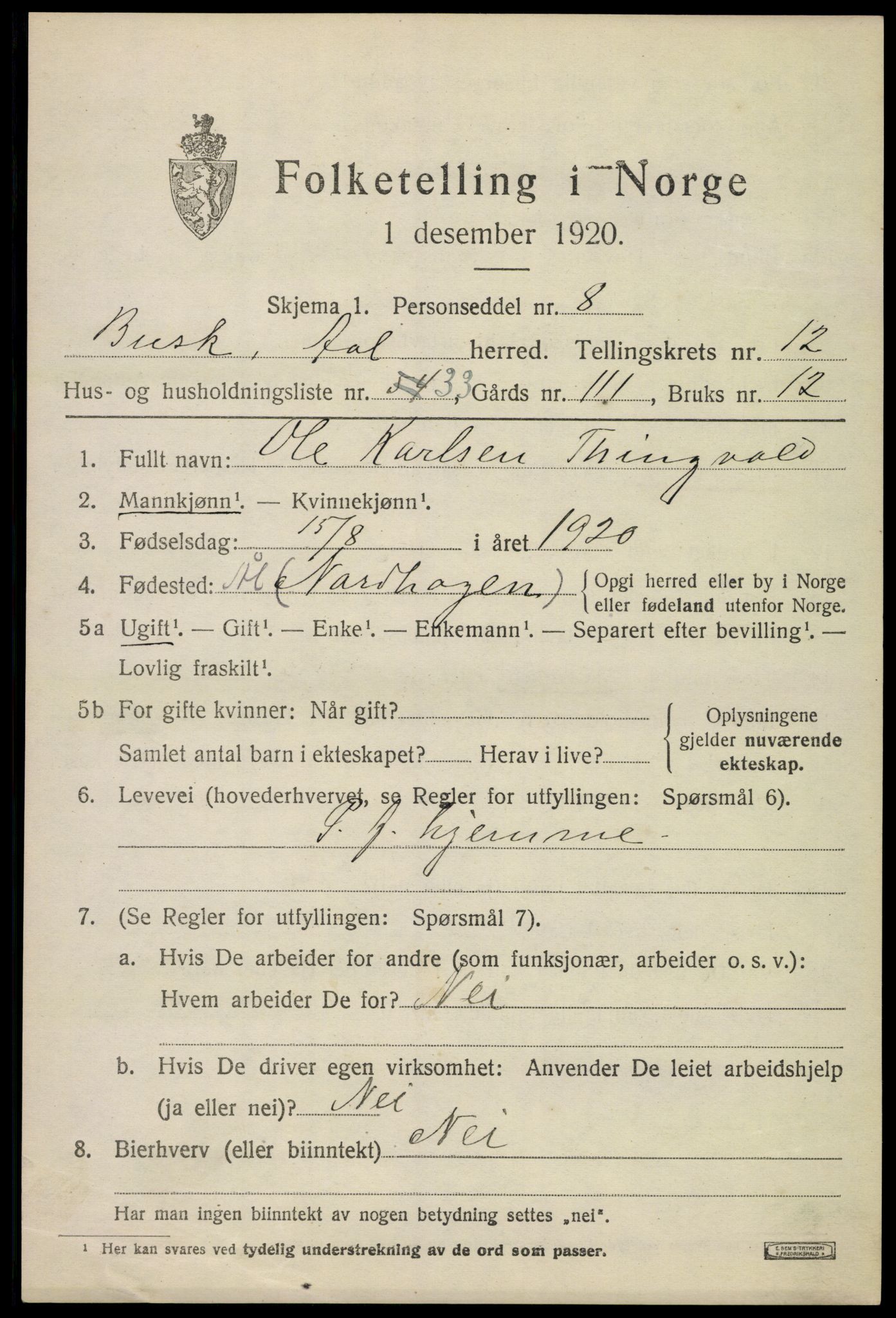 SAKO, 1920 census for Ål, 1920, p. 7018