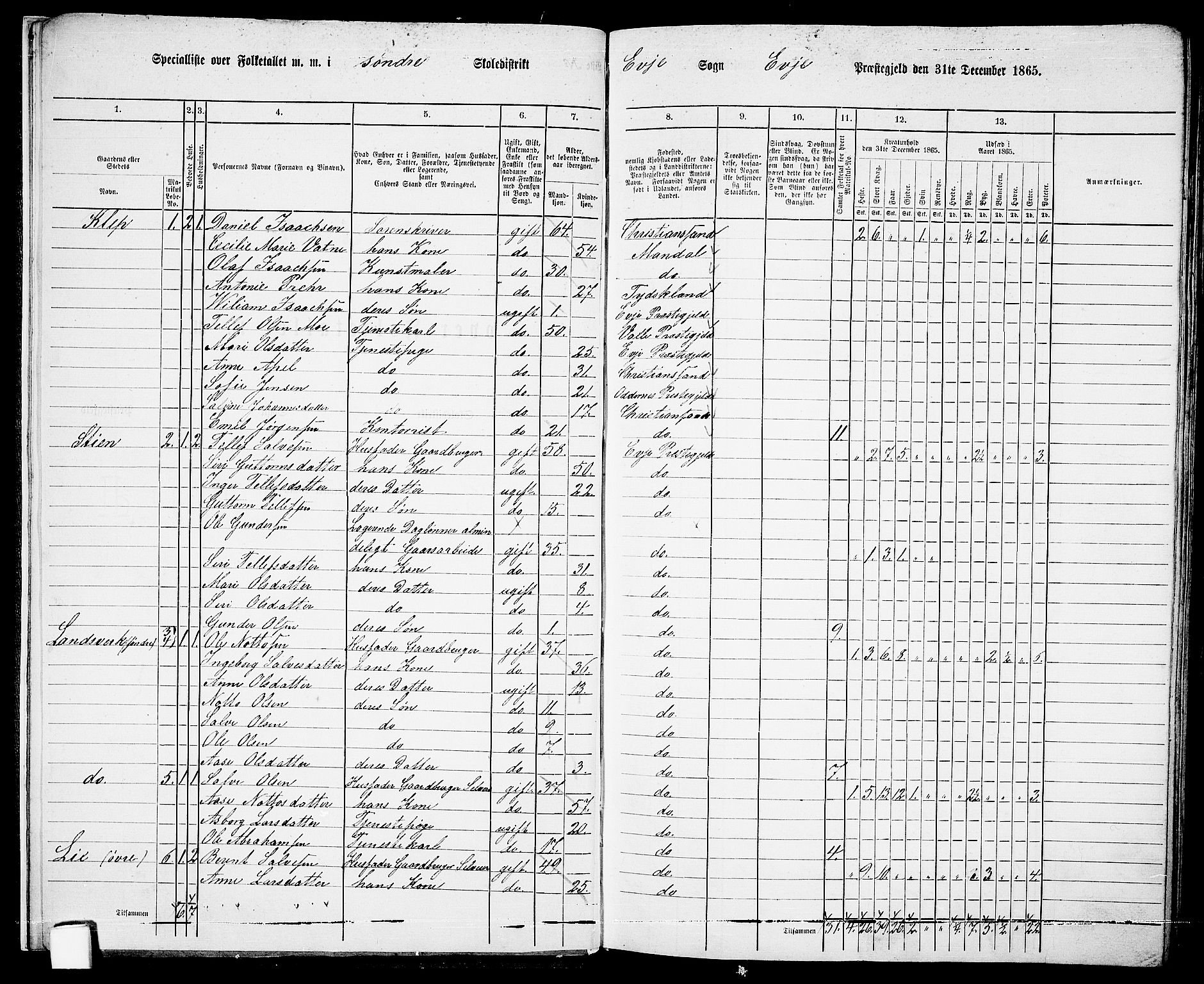 RA, 1865 census for Evje, 1865, p. 10