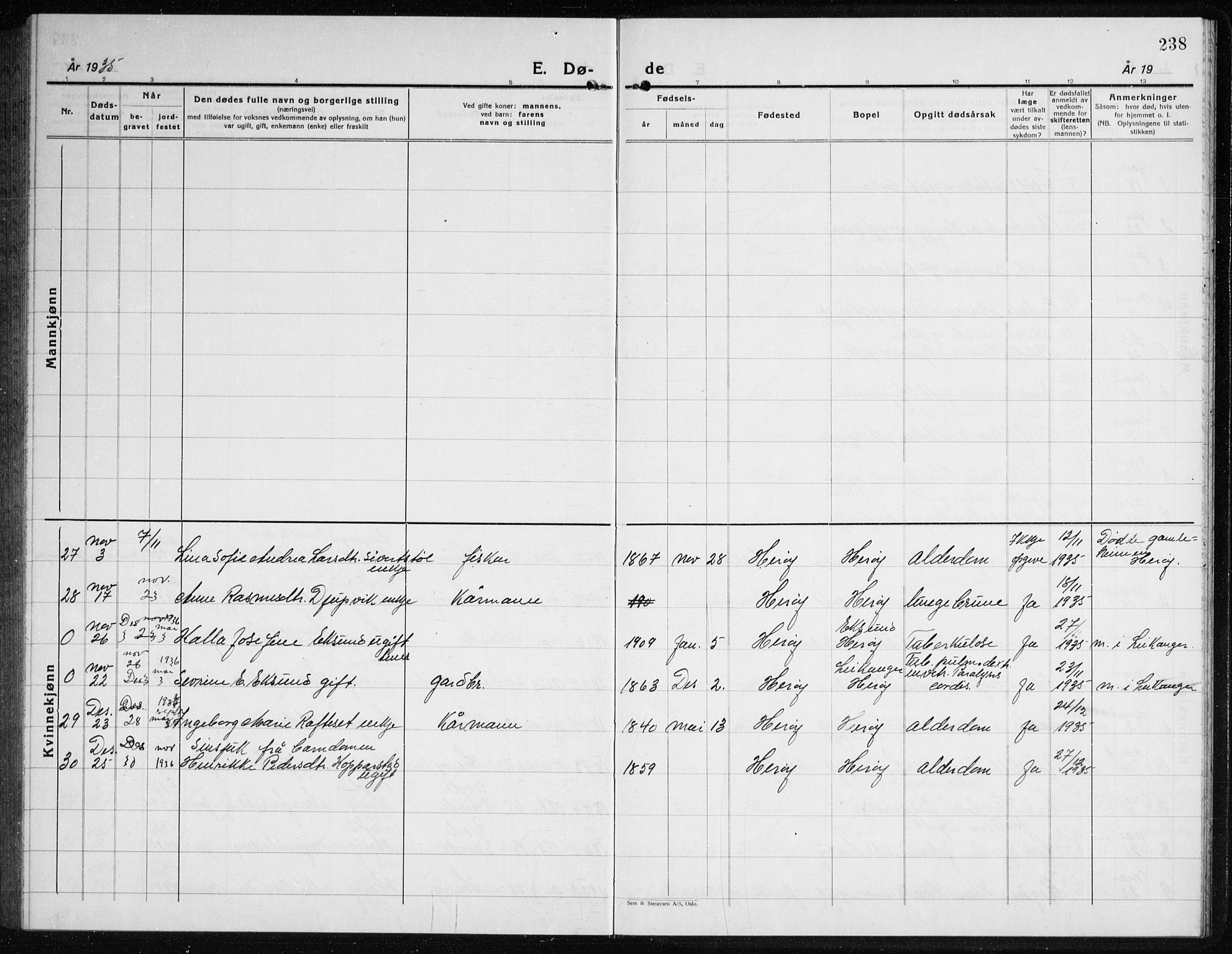 Ministerialprotokoller, klokkerbøker og fødselsregistre - Møre og Romsdal, AV/SAT-A-1454/507/L0085: Parish register (copy) no. 507C08, 1933-1944, p. 238