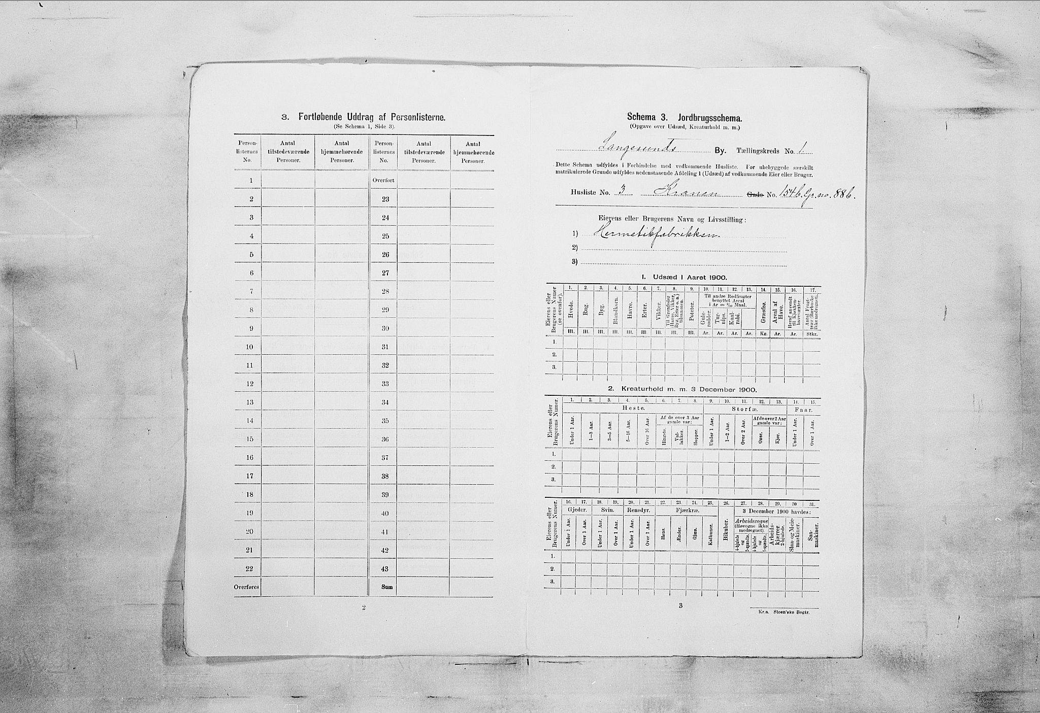 SAKO, 1900 census for Langesund, 1900, p. 21