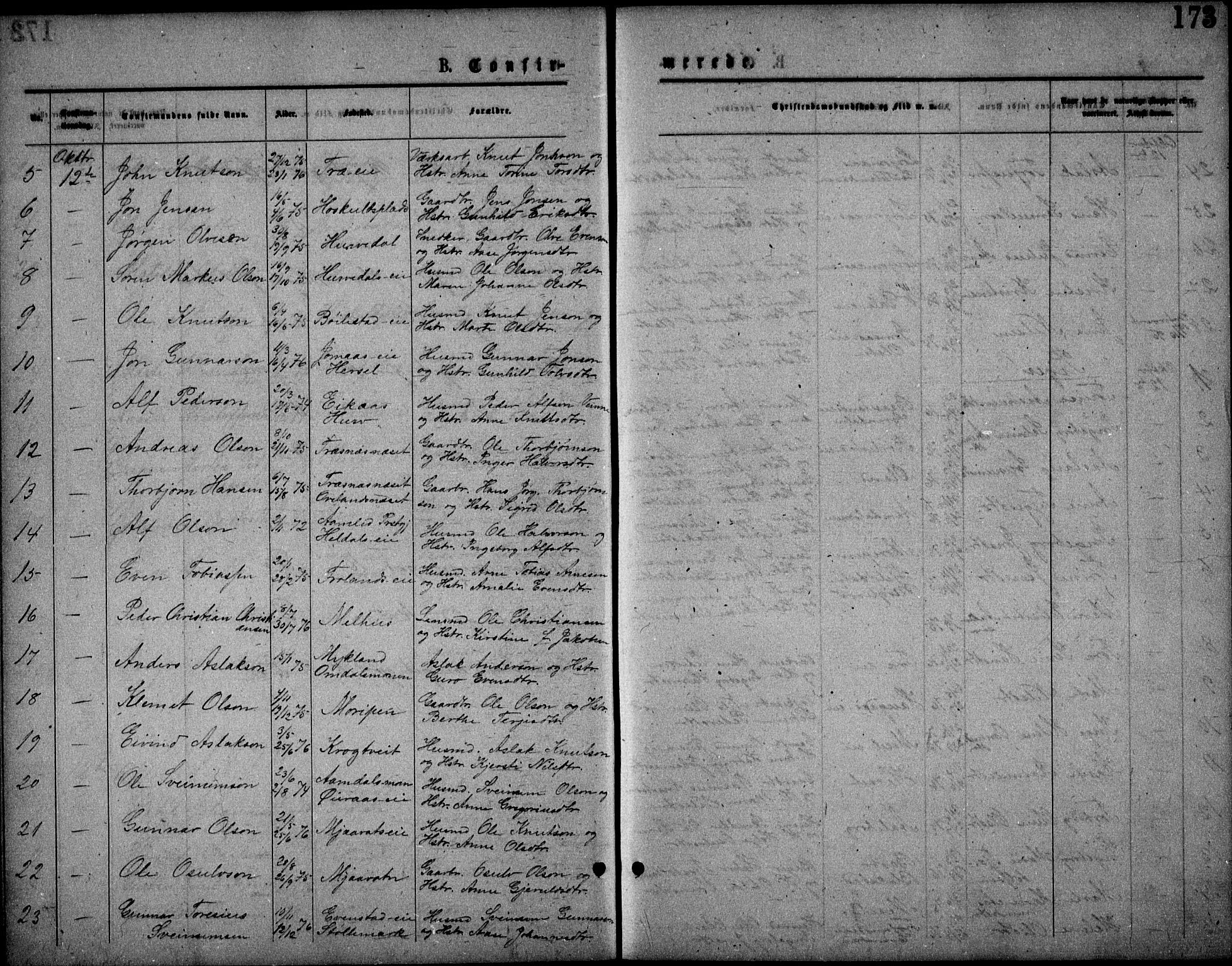 Froland sokneprestkontor, AV/SAK-1111-0013/F/Fb/L0009: Parish register (copy) no. B 9, 1875-1893, p. 173