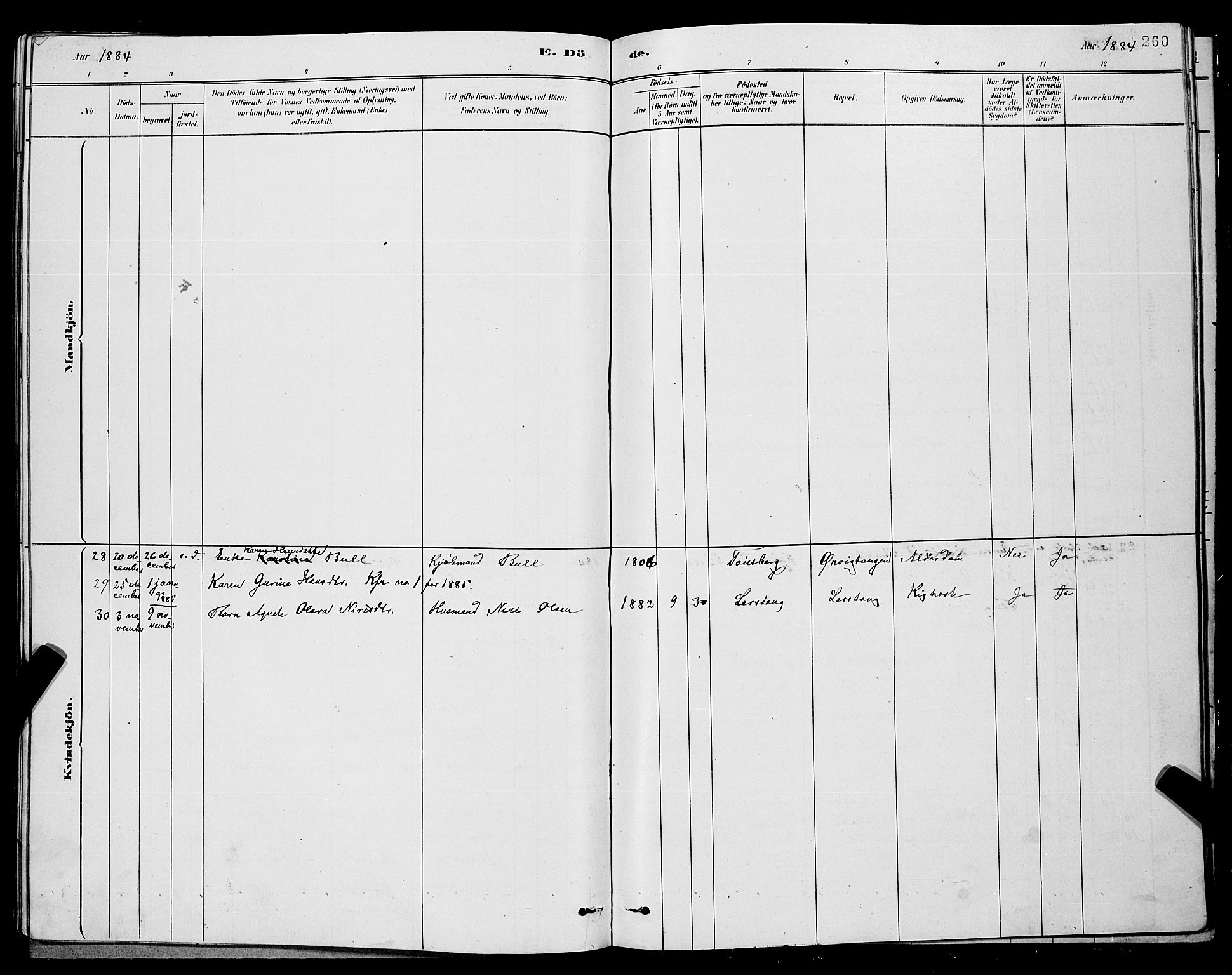 Eidanger kirkebøker, AV/SAKO-A-261/G/Ga/L0002: Parish register (copy) no. 2, 1879-1892, p. 260