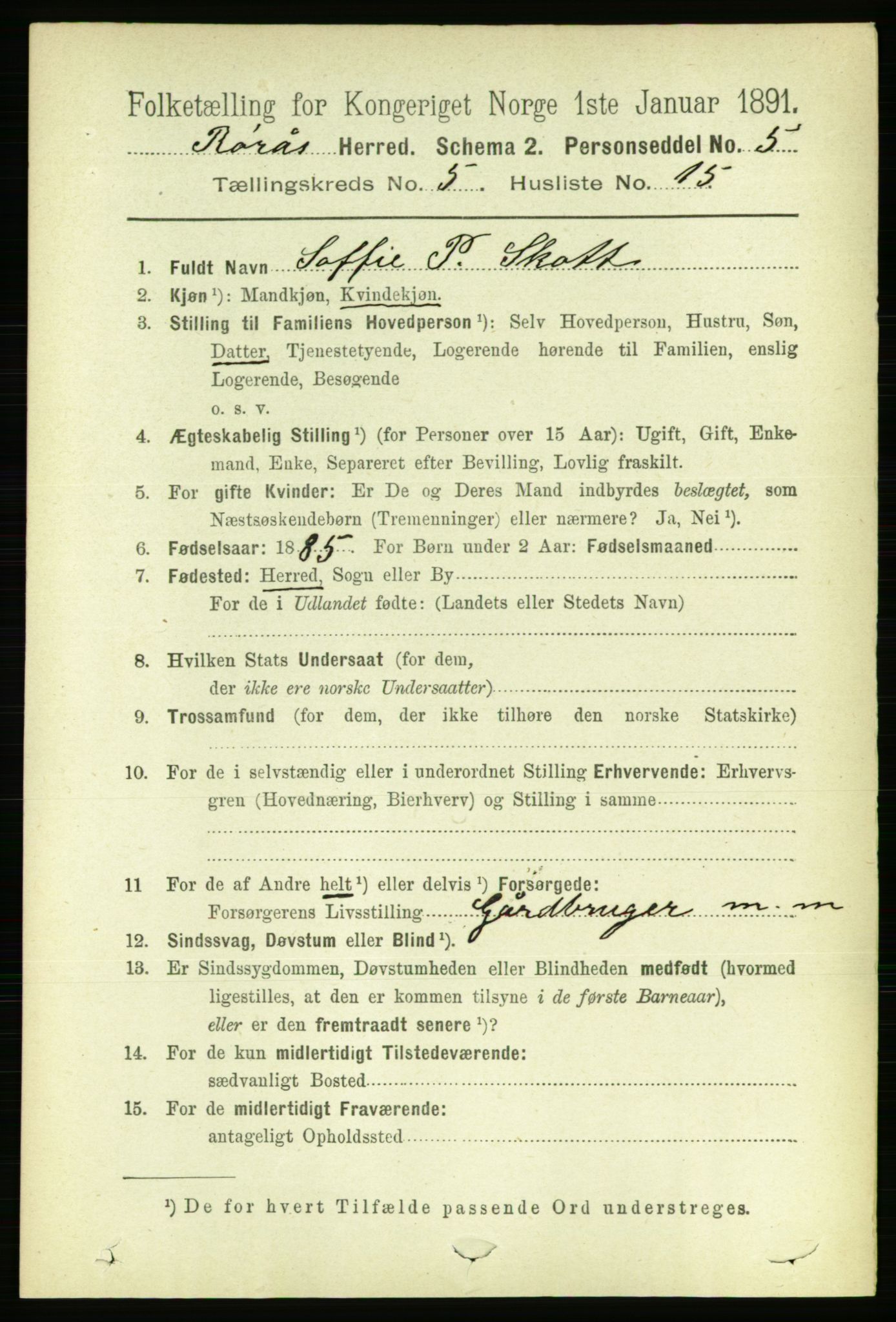 RA, 1891 census for 1640 Røros, 1891, p. 1105