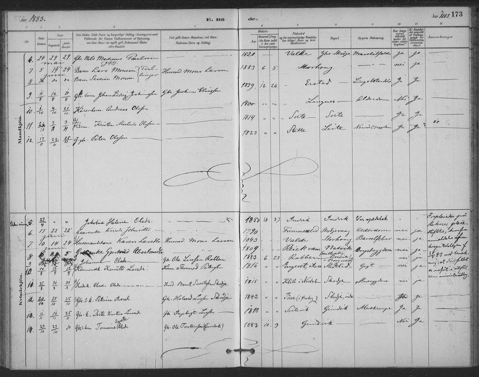 Ministerialprotokoller, klokkerbøker og fødselsregistre - Møre og Romsdal, AV/SAT-A-1454/524/L0356: Parish register (official) no. 524A08, 1880-1899, p. 173