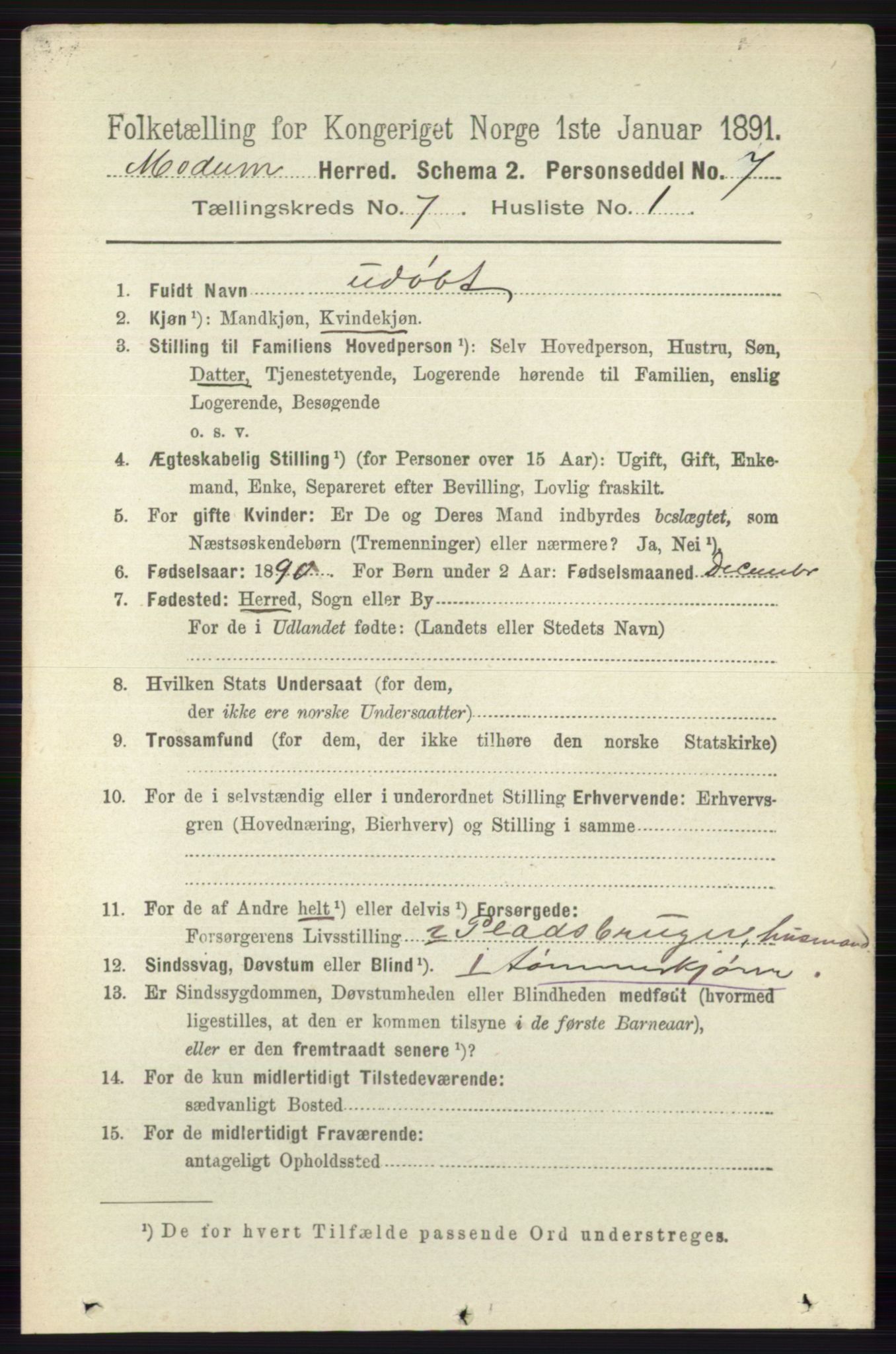 RA, 1891 census for 0623 Modum, 1891, p. 2733