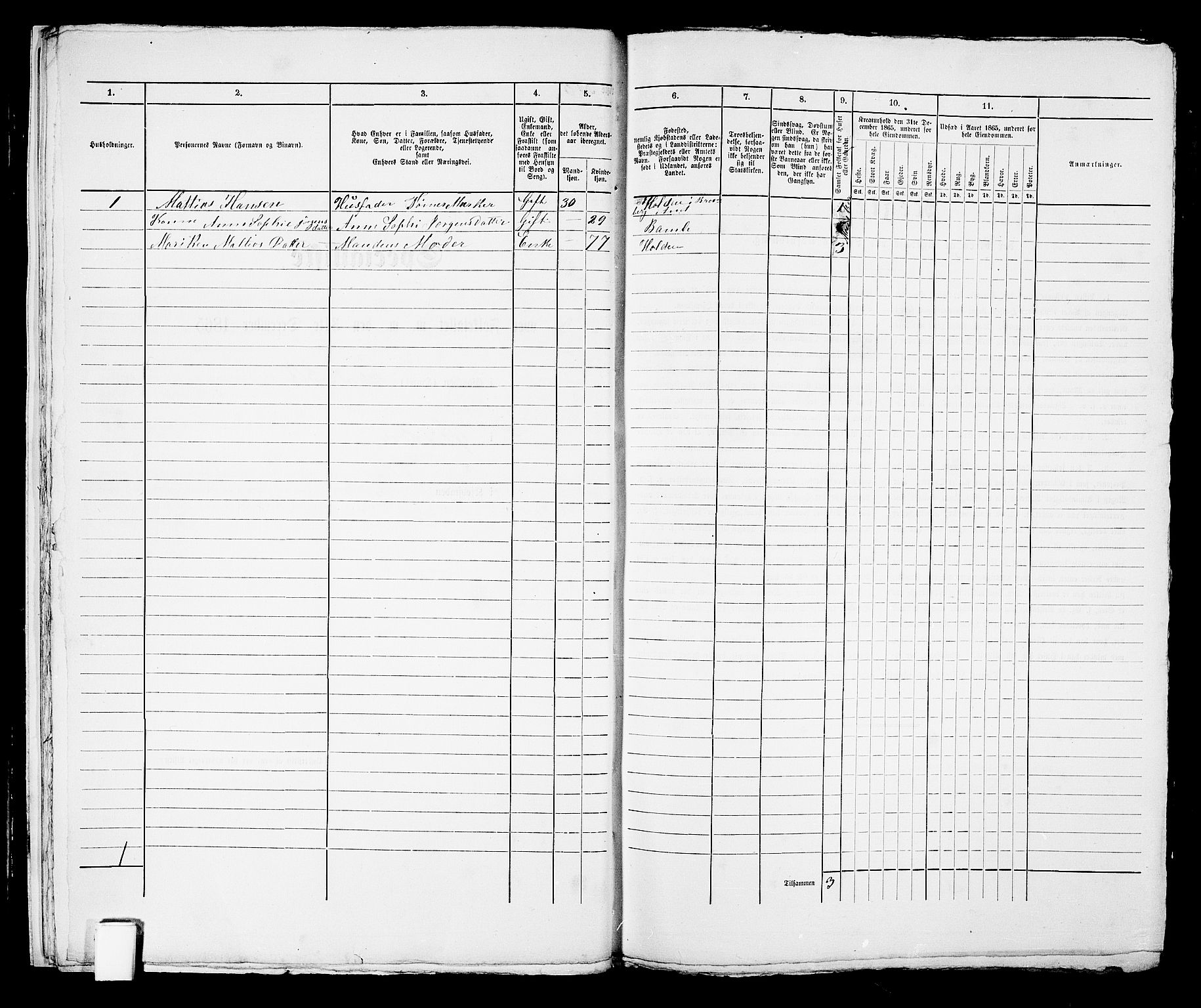 RA, 1865 census for Brevik, 1865, p. 19