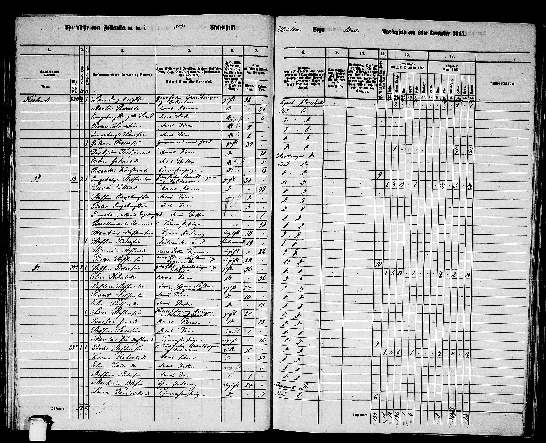 RA, 1865 census for Bud, 1865, p. 36