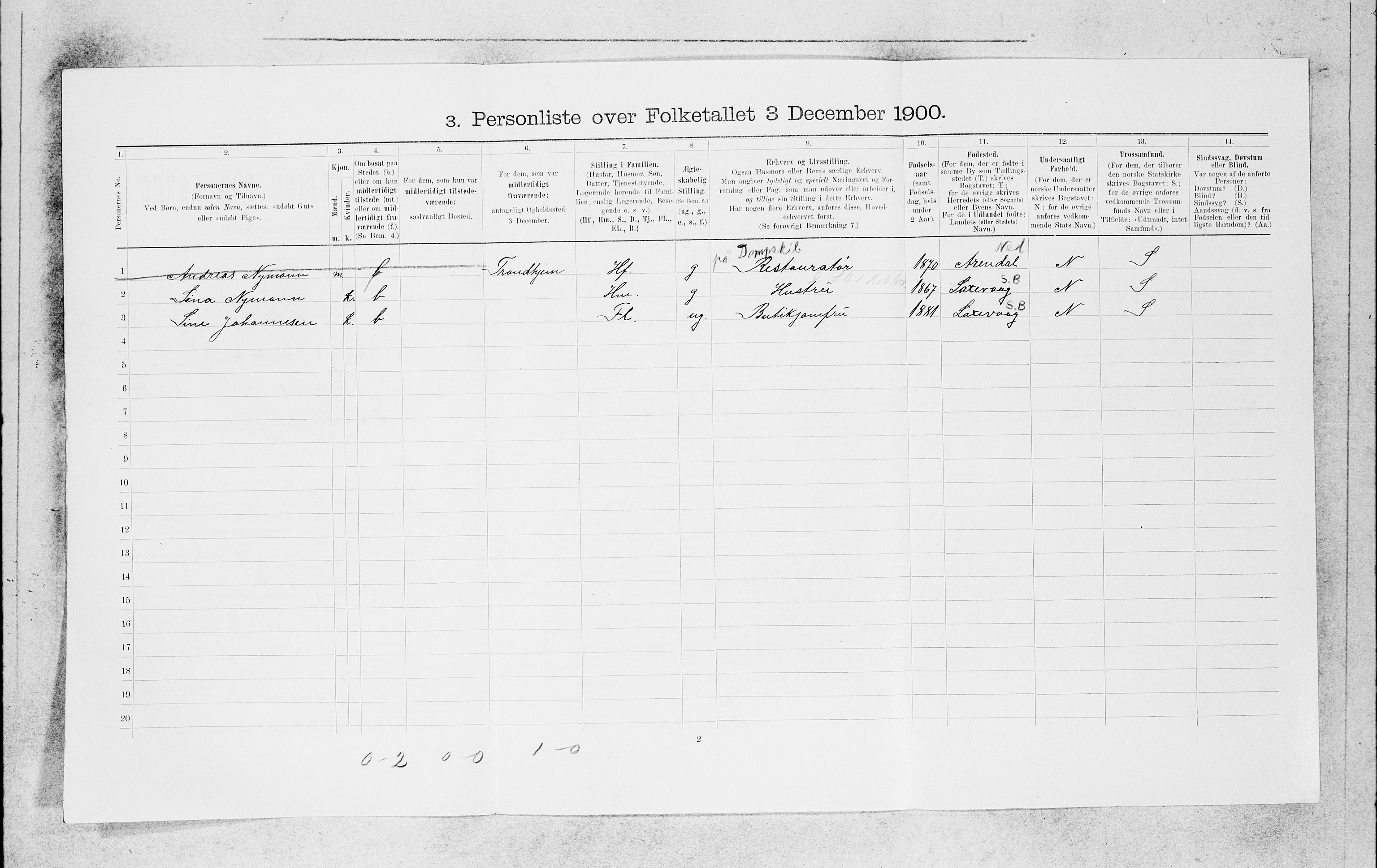 SAB, 1900 census for Bergen, 1900, p. 11893