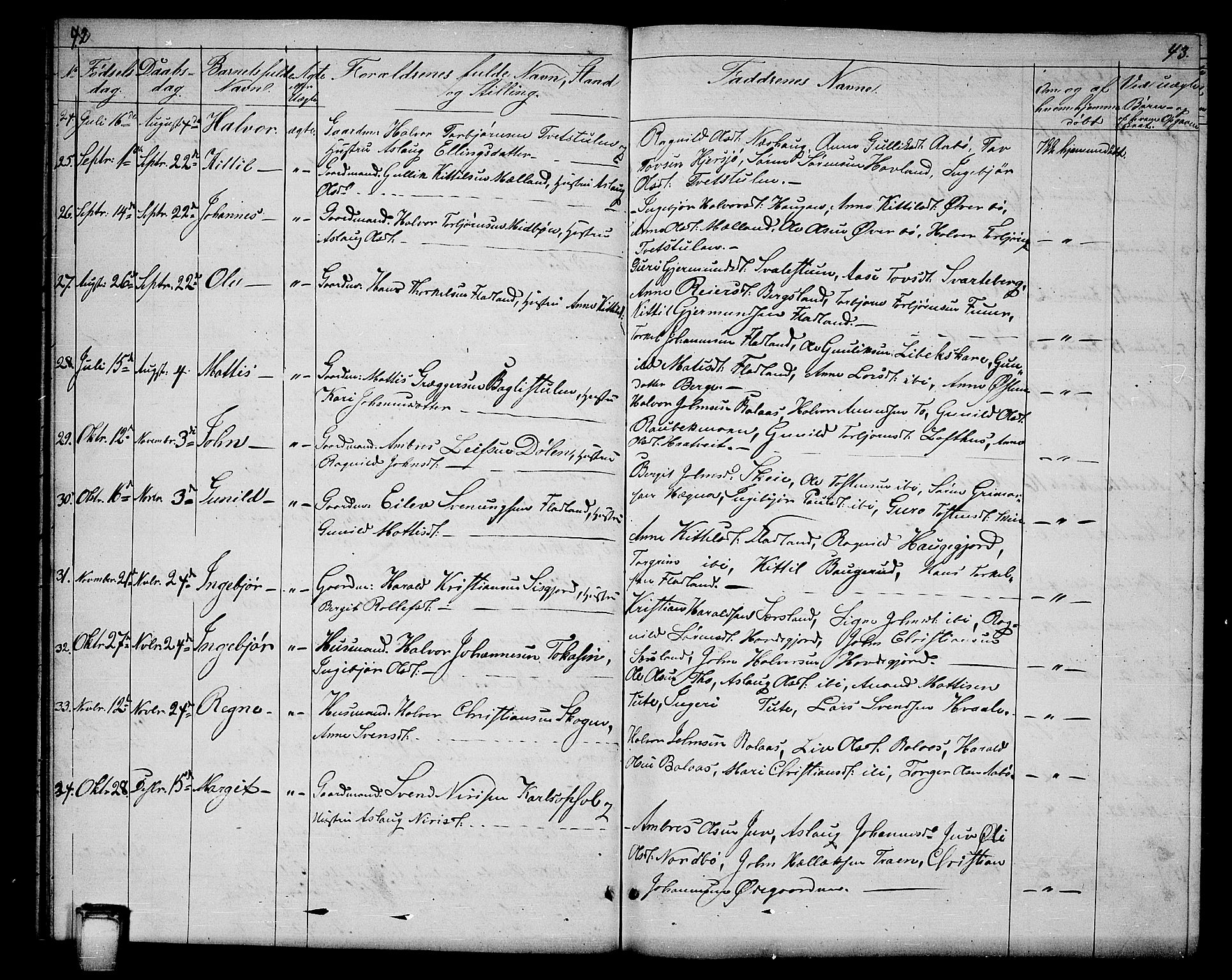 Hjartdal kirkebøker, SAKO/A-270/G/Ga/L0002: Parish register (copy) no. I 2, 1854-1888, p. 42-43