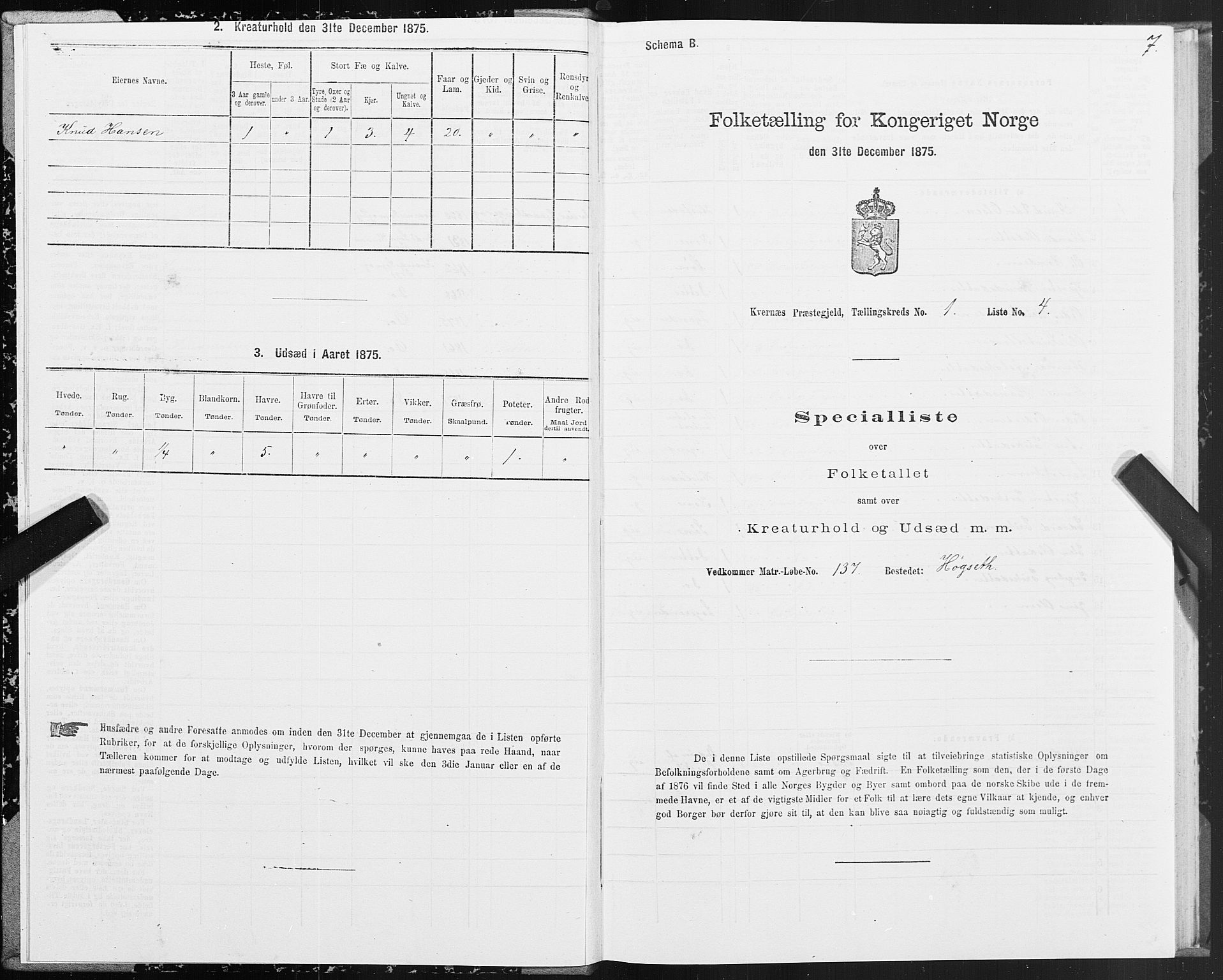 SAT, 1875 census for 1553P Kvernes, 1875, p. 1007