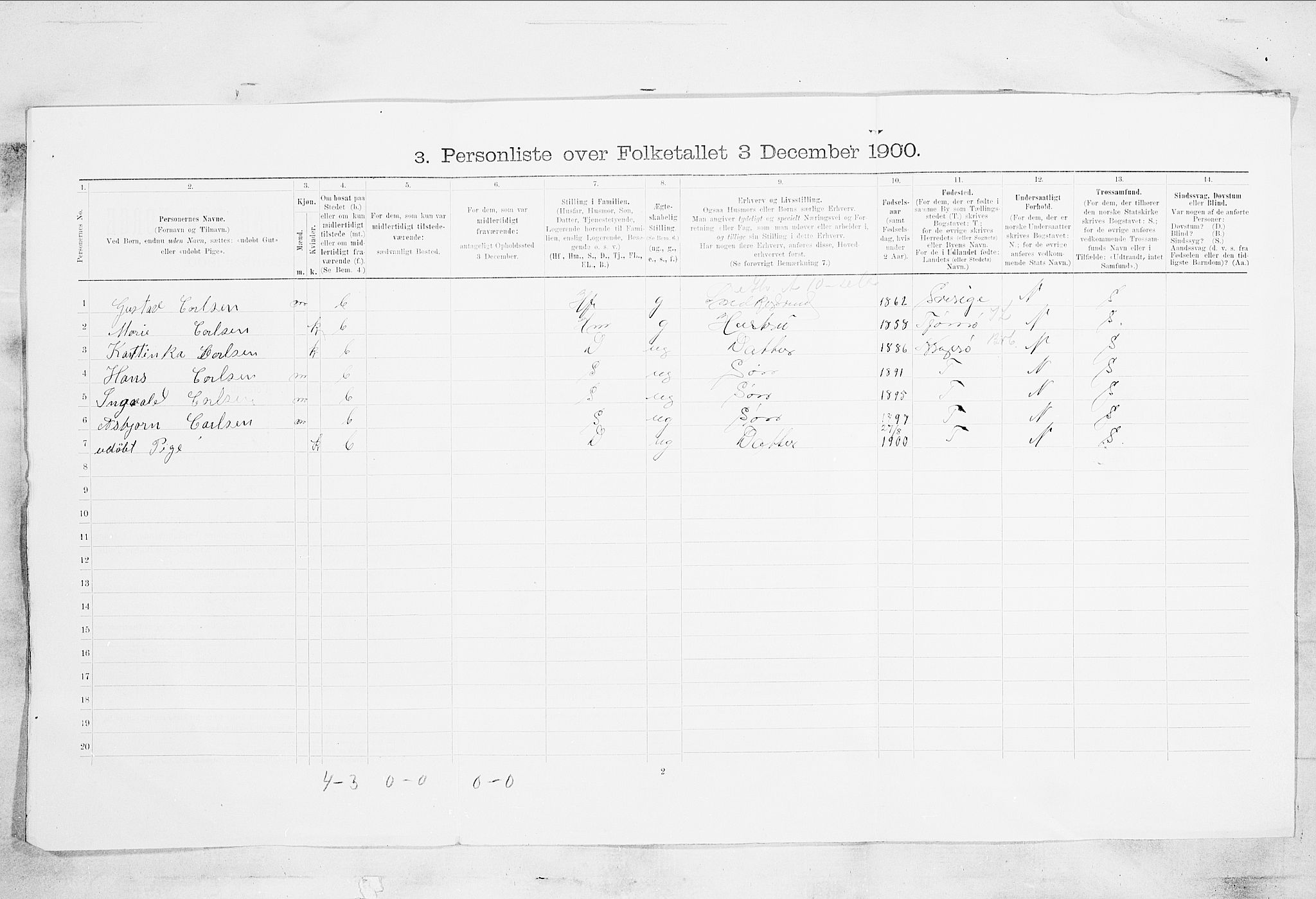 SAKO, 1900 census for Skien, 1900, p. 2933