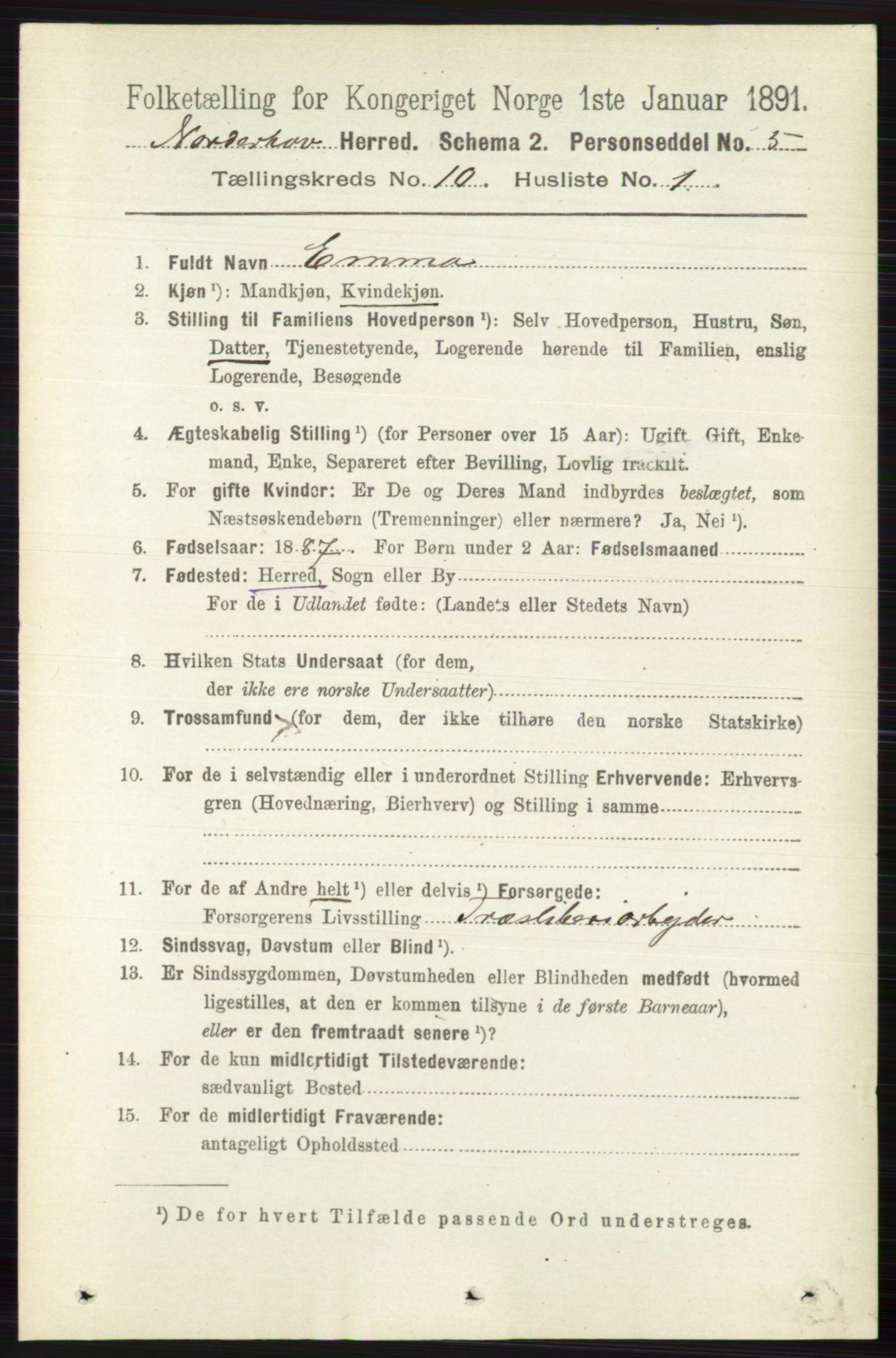 RA, 1891 census for 0613 Norderhov, 1891, p. 7517