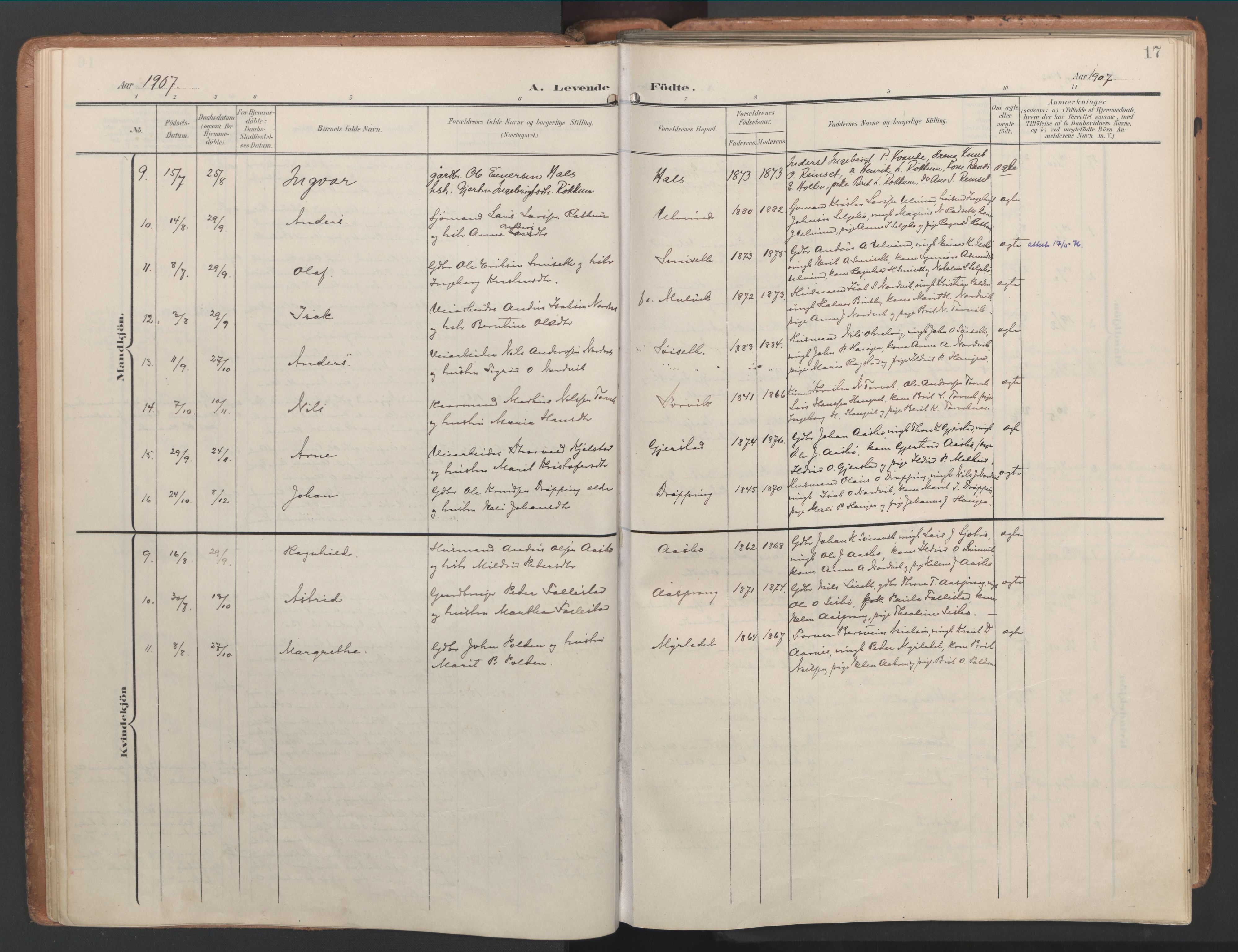 Ministerialprotokoller, klokkerbøker og fødselsregistre - Møre og Romsdal, AV/SAT-A-1454/592/L1030: Parish register (official) no. 592A08, 1901-1925, p. 17