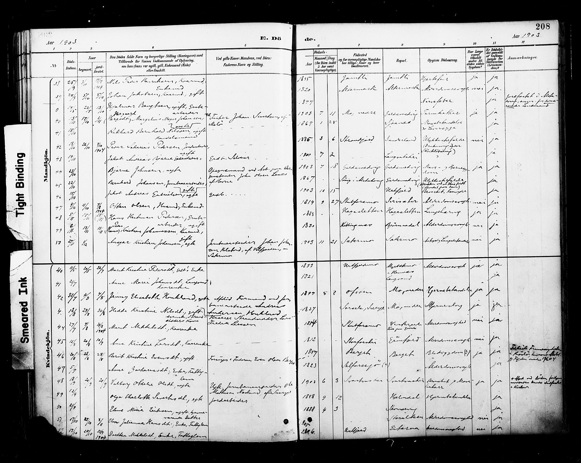 Ministerialprotokoller, klokkerbøker og fødselsregistre - Nordland, AV/SAT-A-1459/827/L0401: Parish register (official) no. 827A13, 1887-1905, p. 208