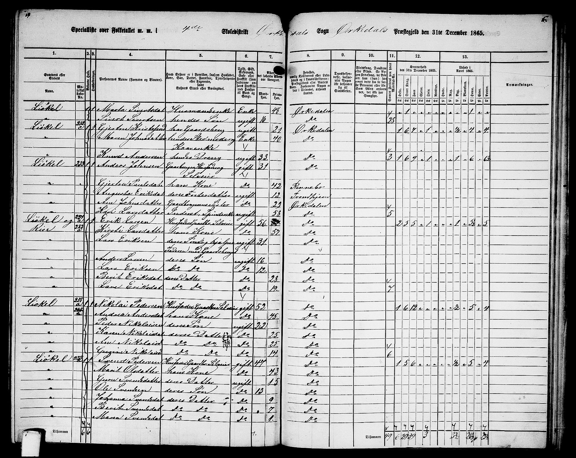 RA, 1865 census for Orkdal, 1865, p. 223